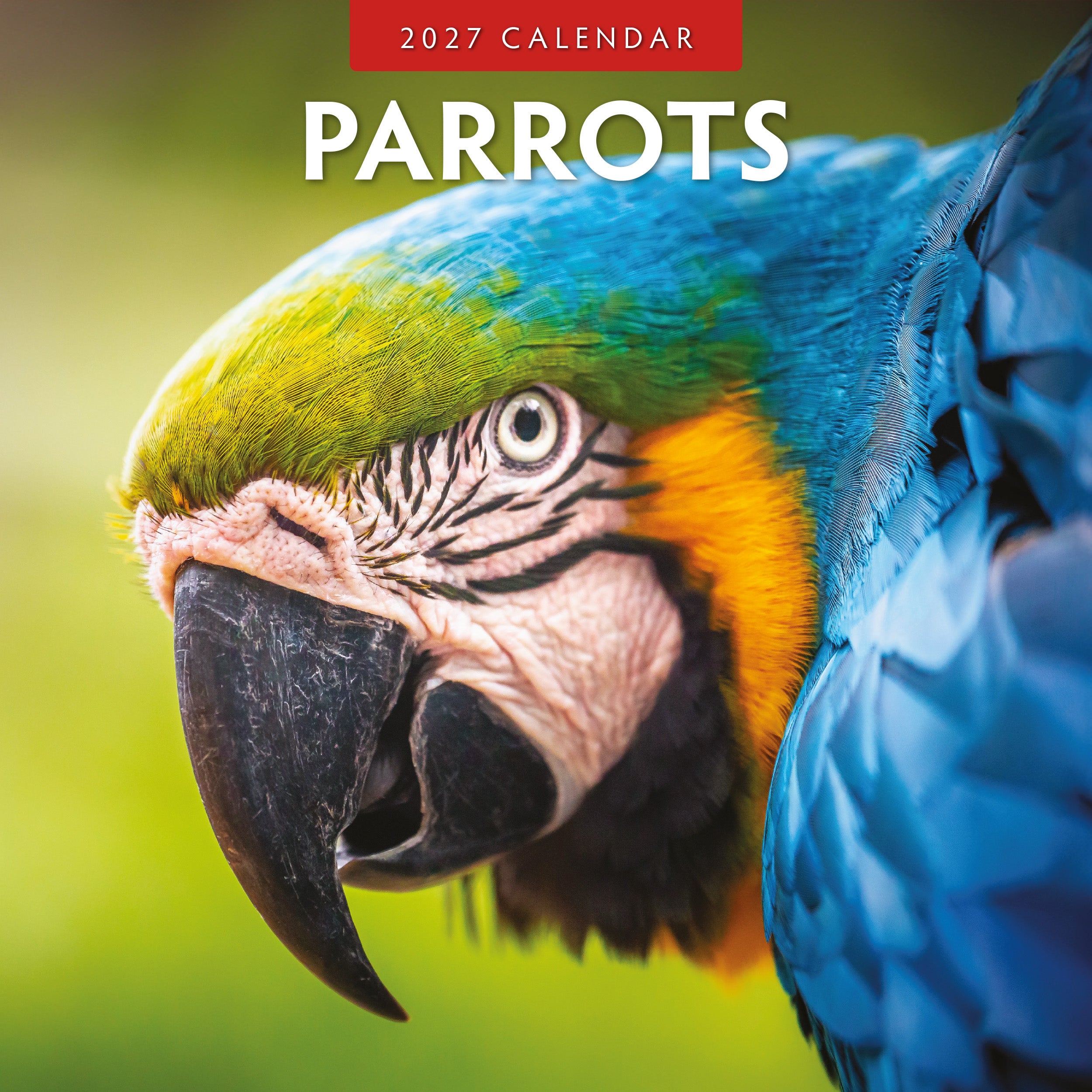 2027 Parrots - Square Wall Calendar
