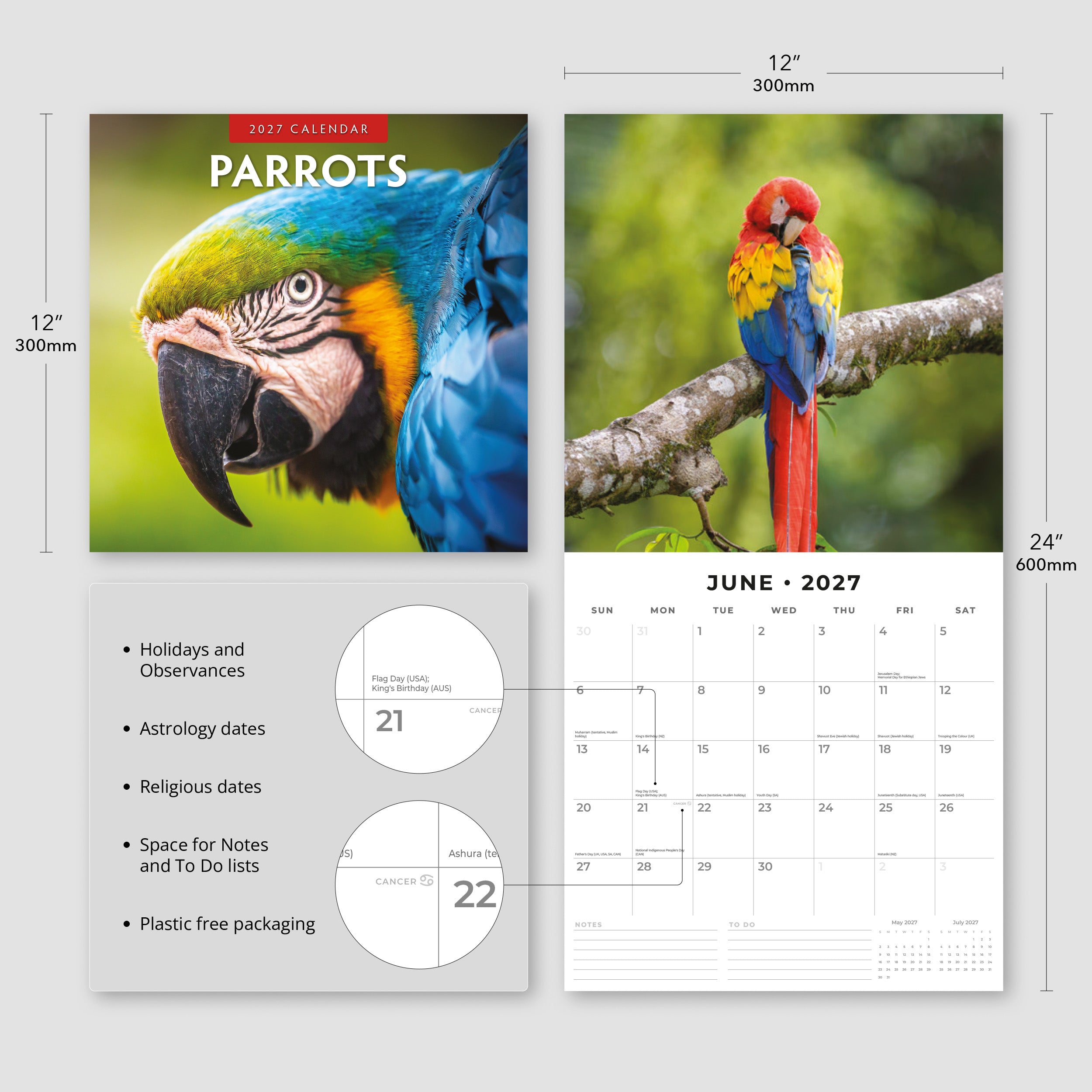 2027 Parrots - Square Wall Calendar