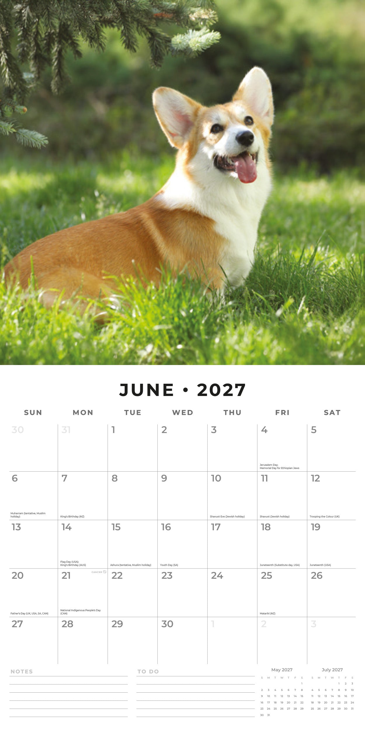 2027 Pembroke Welsh Corgis - Square Wall Calendar