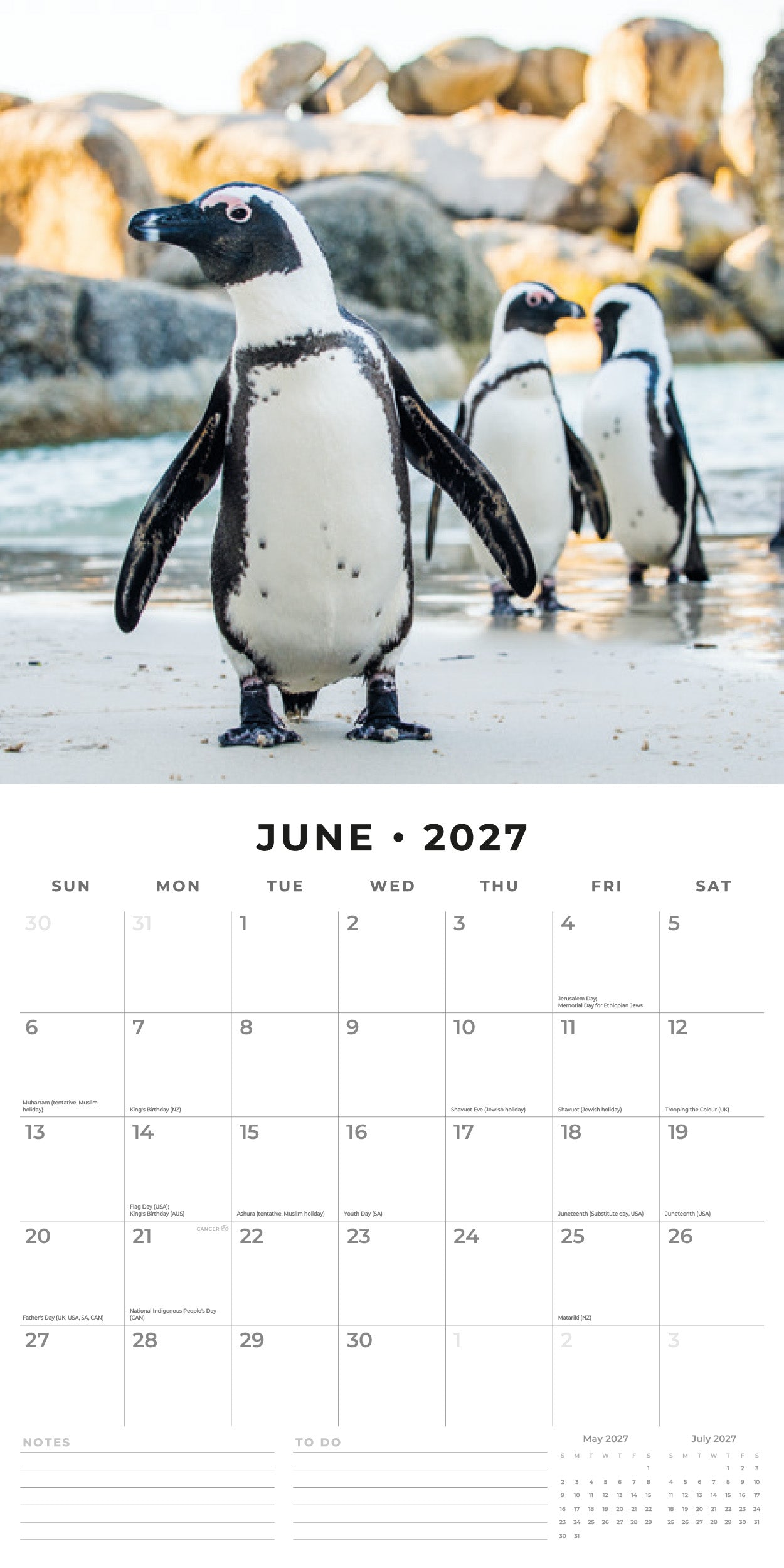 2027 Penguins - Square Wall Calendar