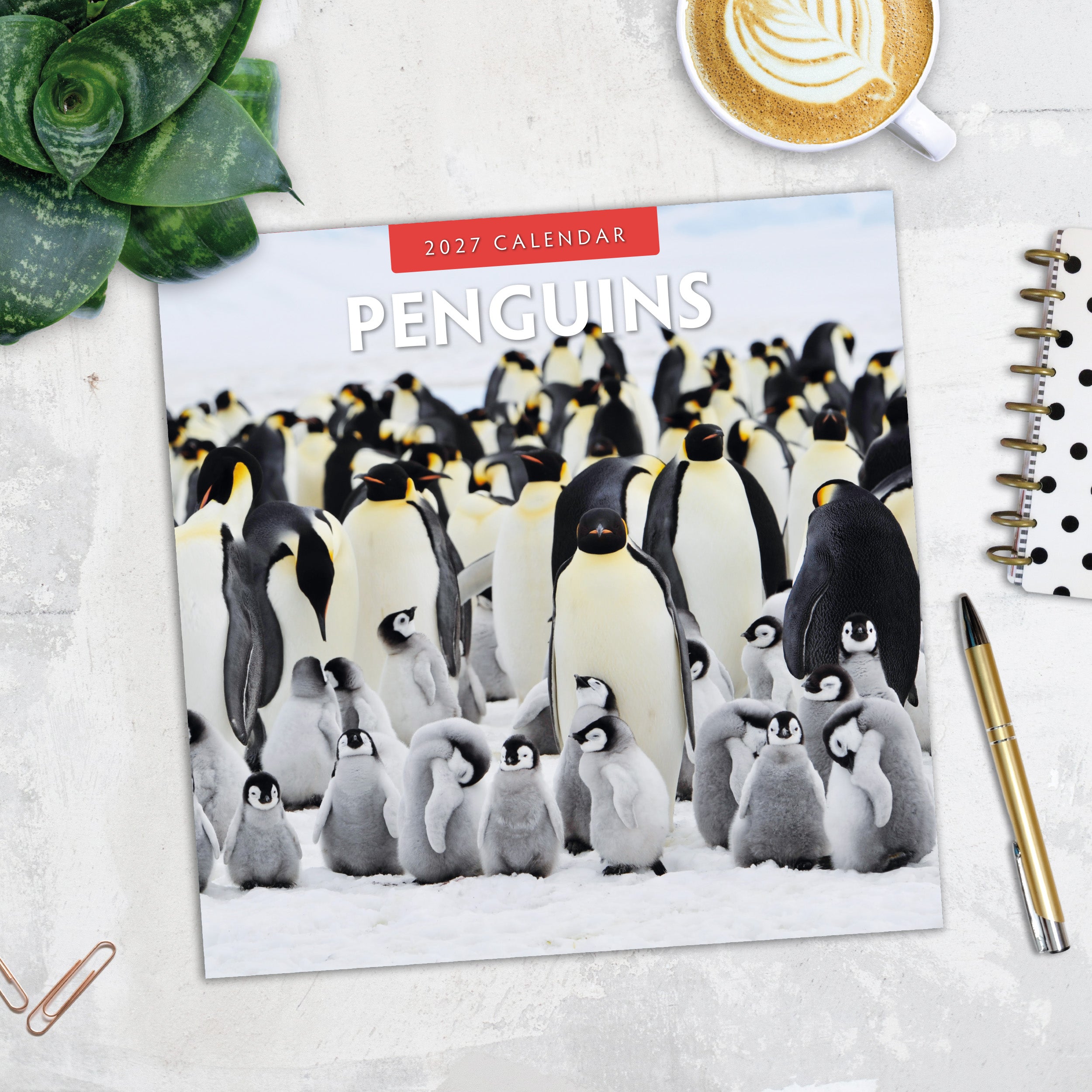 2027 Penguins - Square Wall Calendar