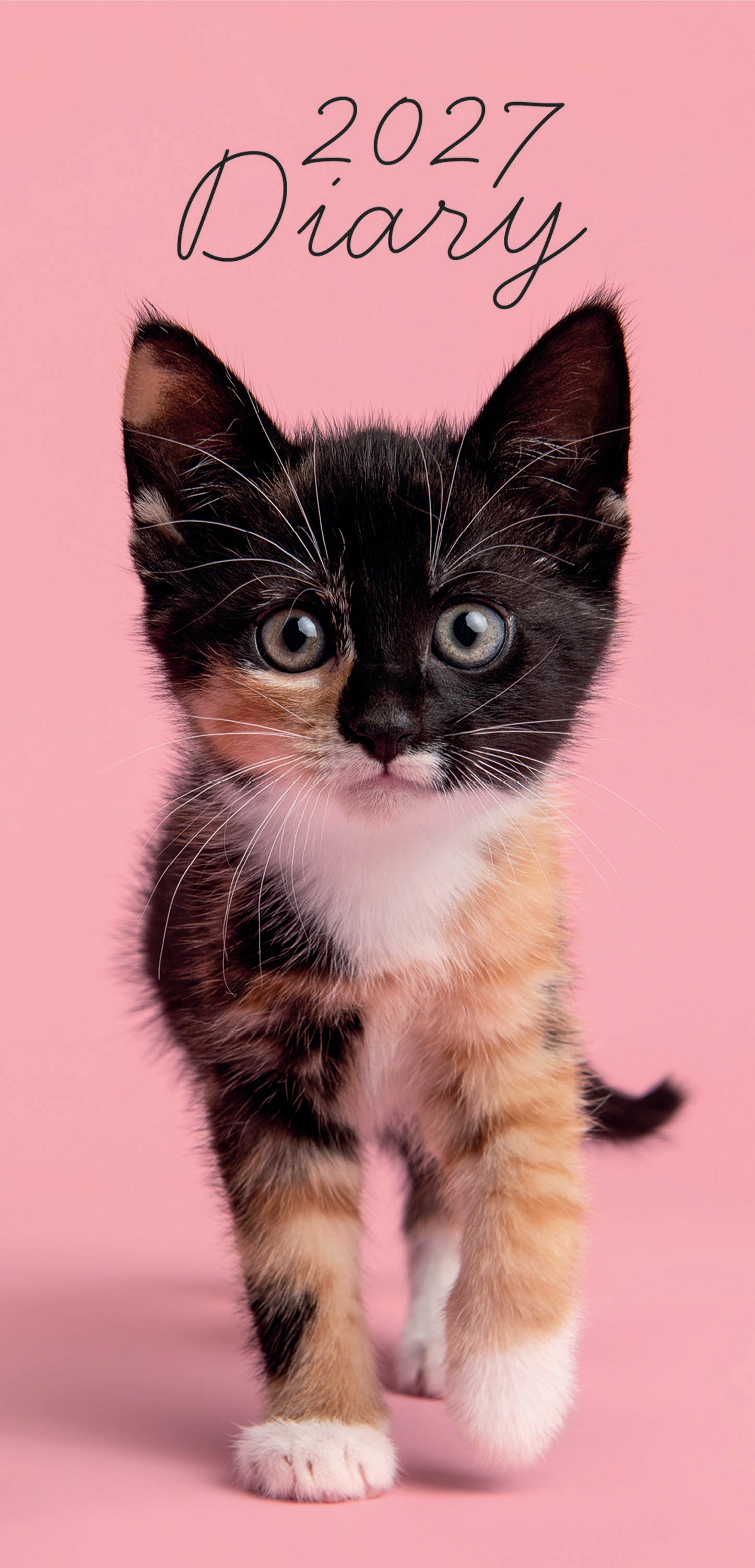 Pocket_Diary_Animals_Kitten_Love_2027.jpg