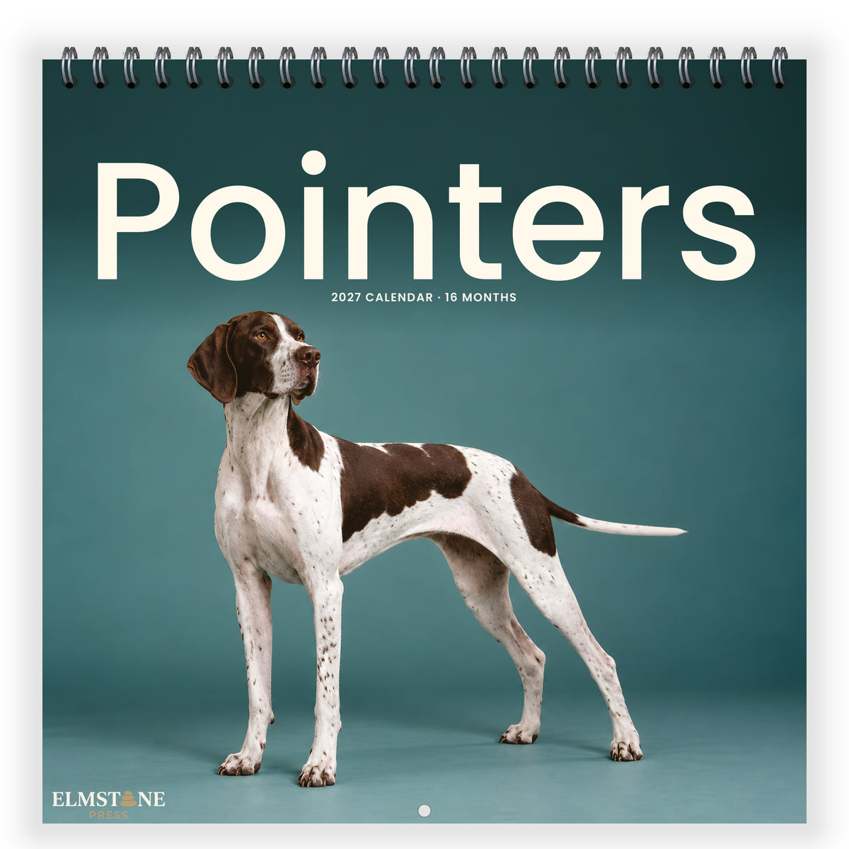 Pointers_-_649310203147_-_01-front-cover-white.jpg