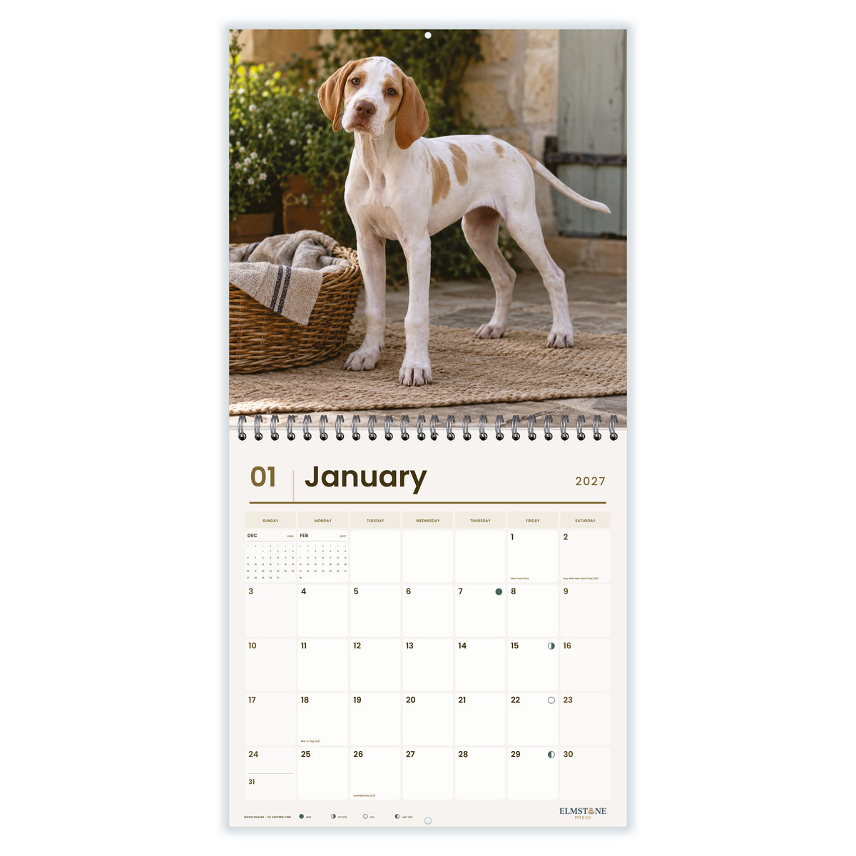 Pointers_-_649310203147_-_02-january-open-white.jpg