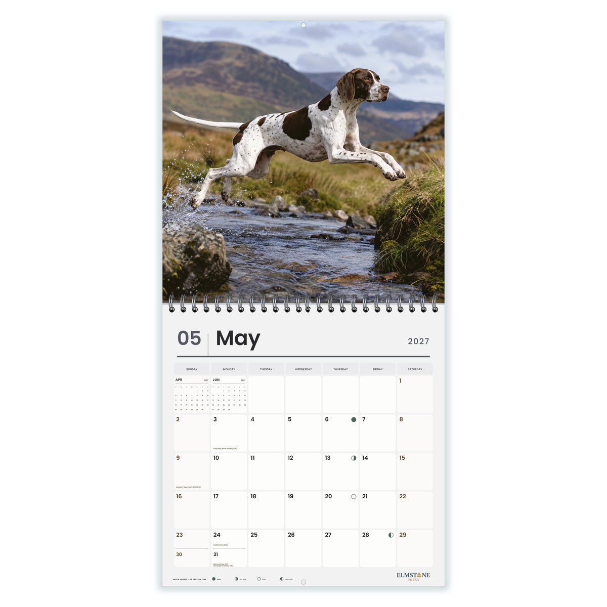 Pointers_-_649310203147_-_03-may-open-white.jpg