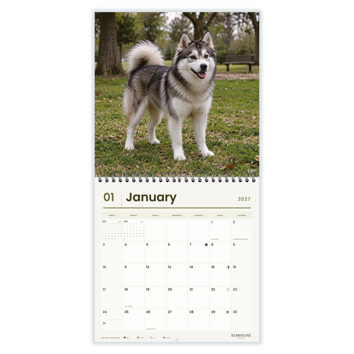 Pomskies_-_649310203444_-_02-january-open-white.jpg