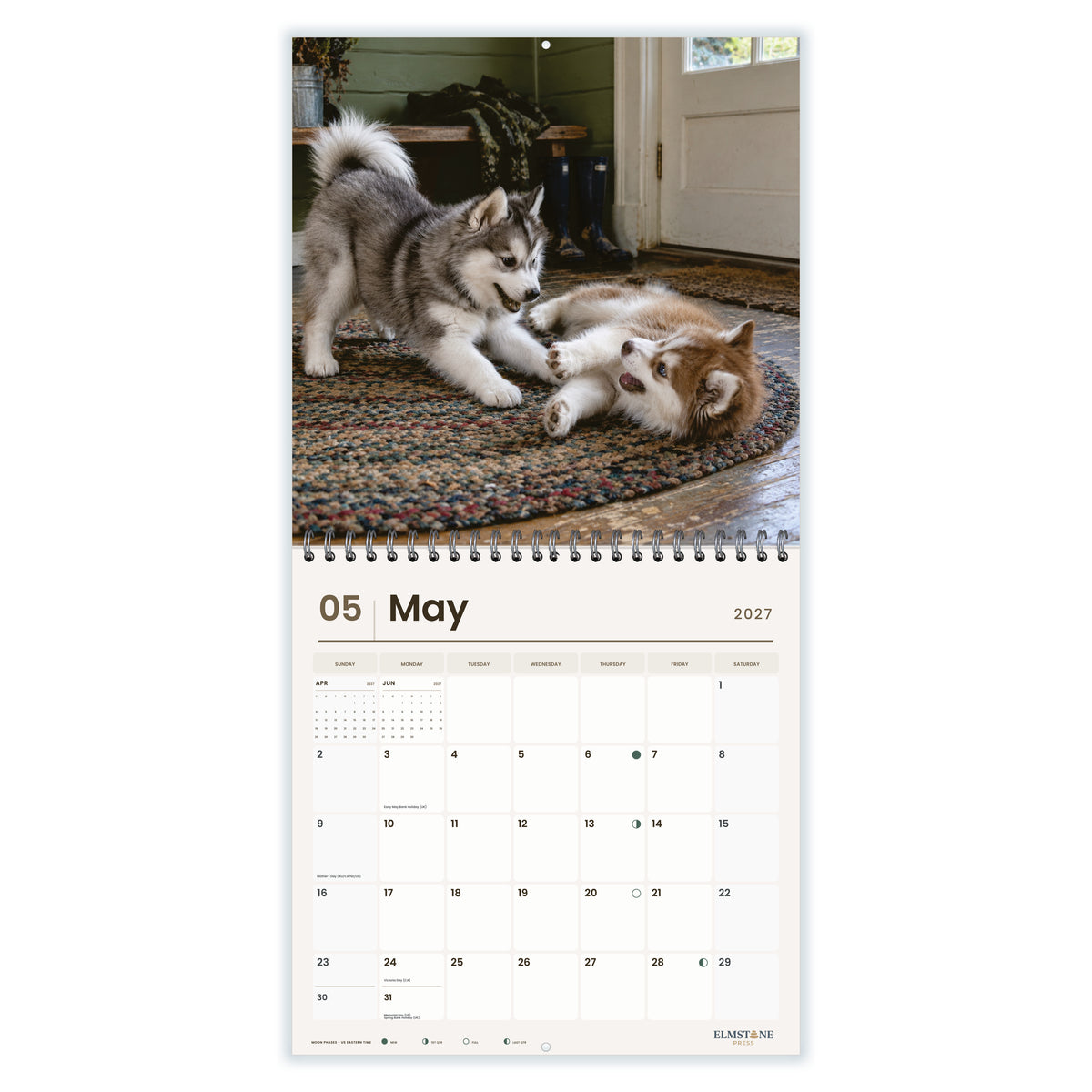 Pomskies_-_649310203444_-_03-may-open-white.jpg