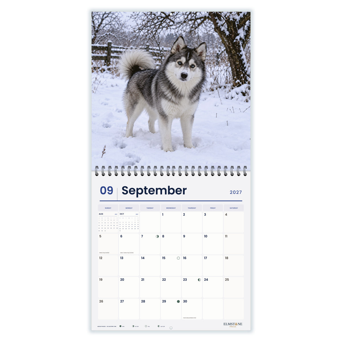 Pomskies_-_649310203444_-_04-september-open-white.jpg