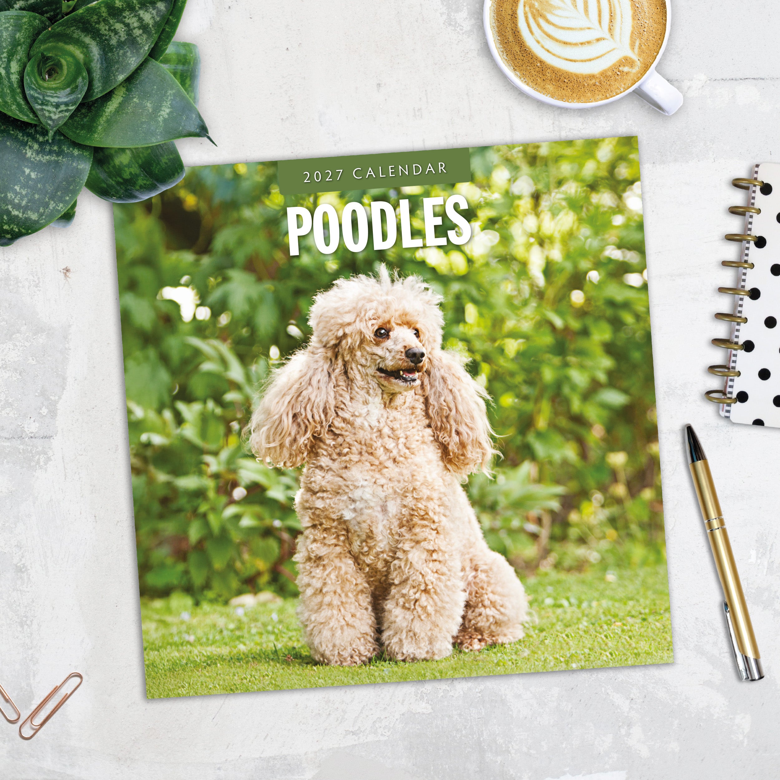 2027 Poodles - Square Wall Calendar