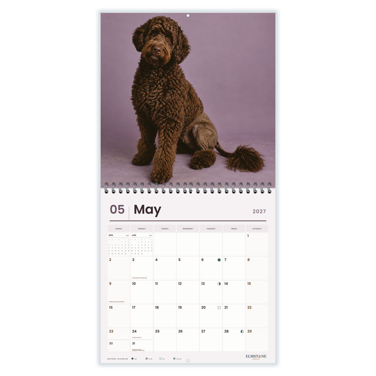 Portuguese_Water_Dogs_-_649310203451_-_03-may-open-white.jpg