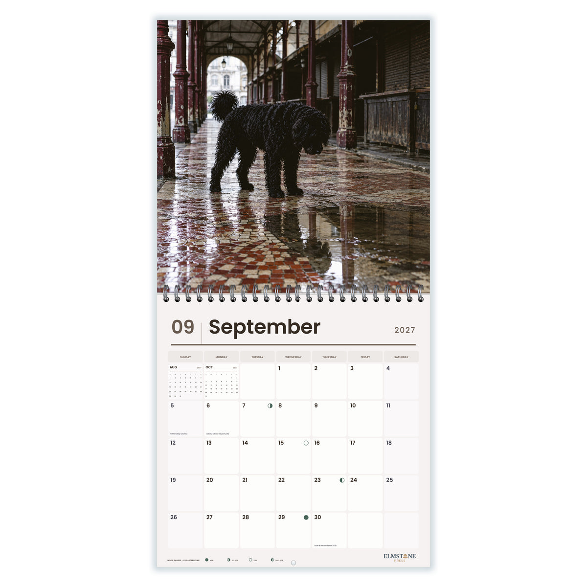 Portuguese_Water_Dogs_-_649310203451_-_04-september-open-white.jpg