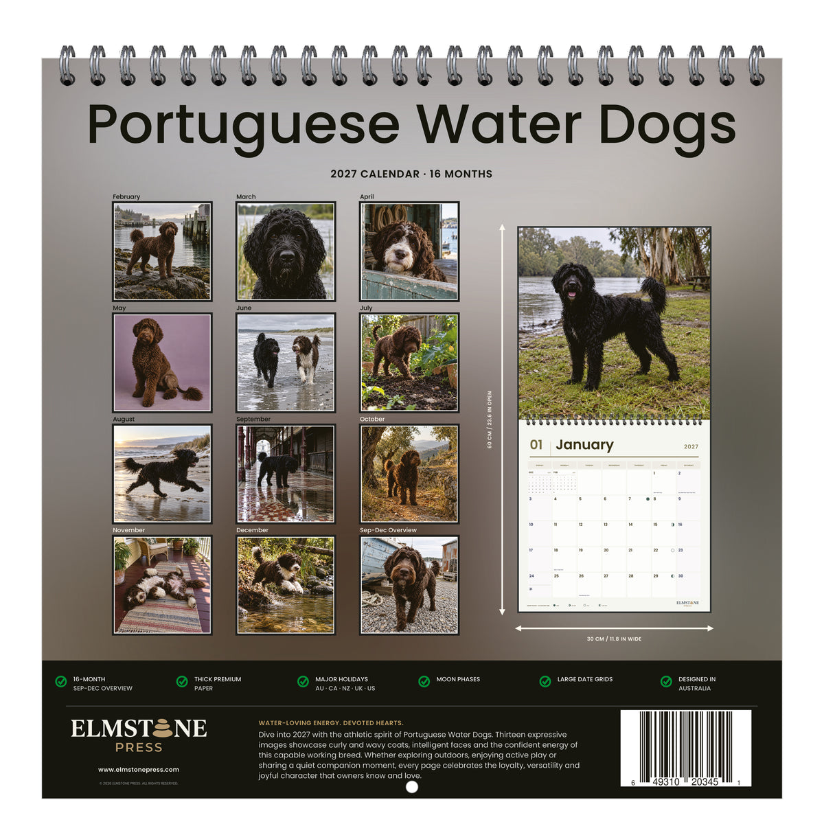 Portuguese_Water_Dogs_-_649310203451_-_05-back-cover-white.jpg