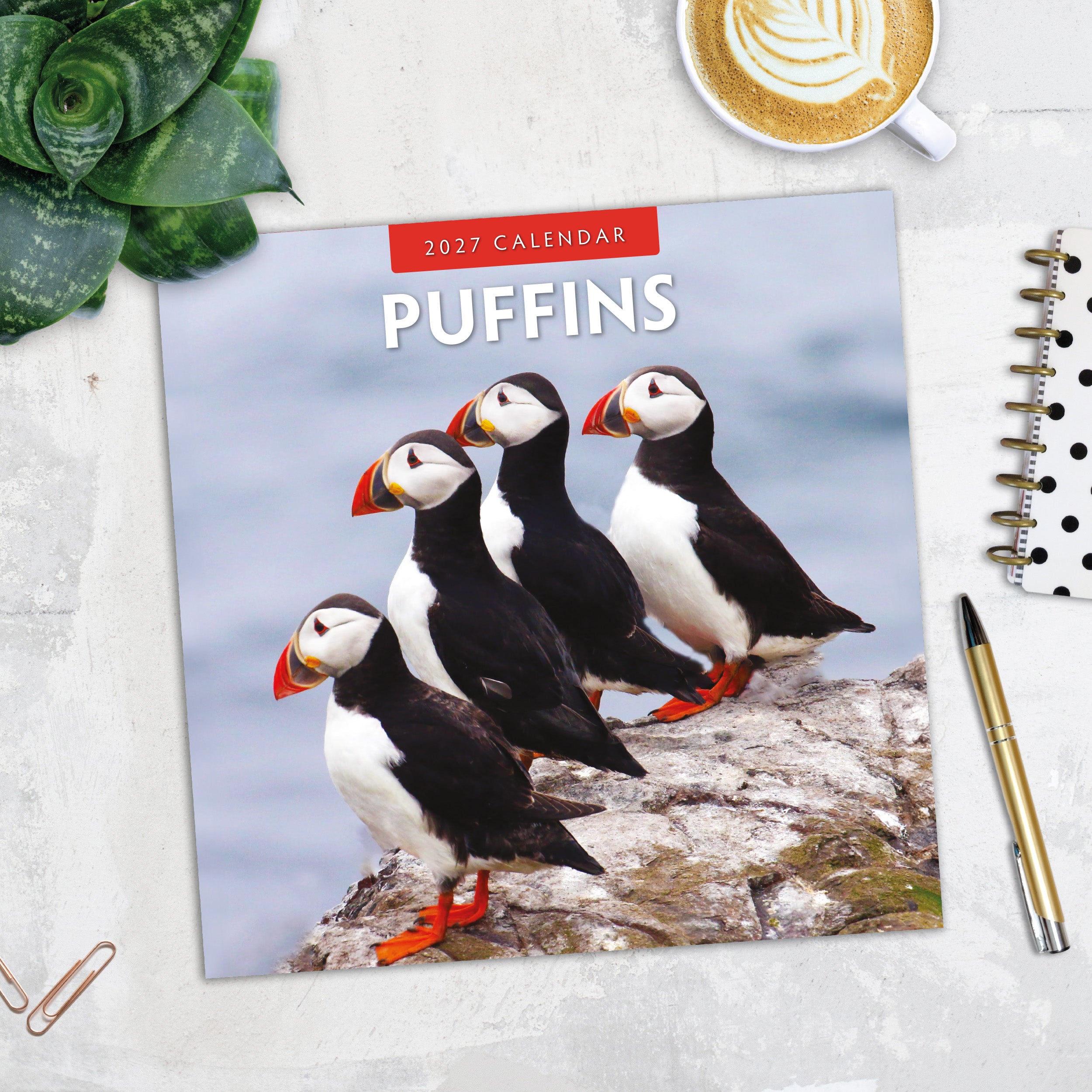 2027 Puffins - Square Wall Calendar