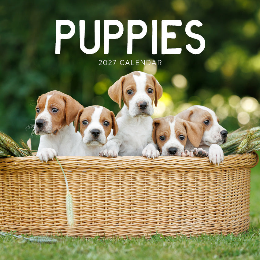 2027 Puppies - Square Wall Calendar