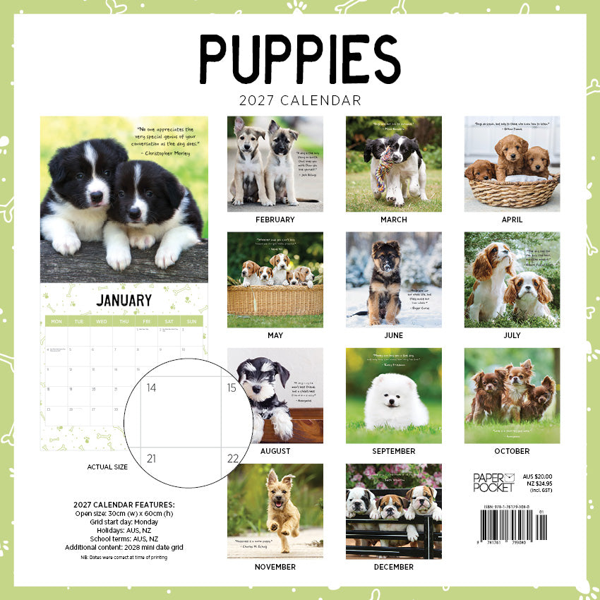 2027 Puppies - Square Wall Calendar