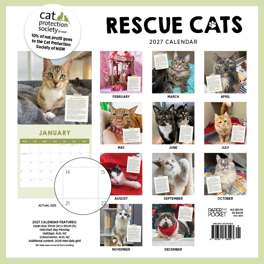 2027 Rescue Cats - Square Wall Calendar