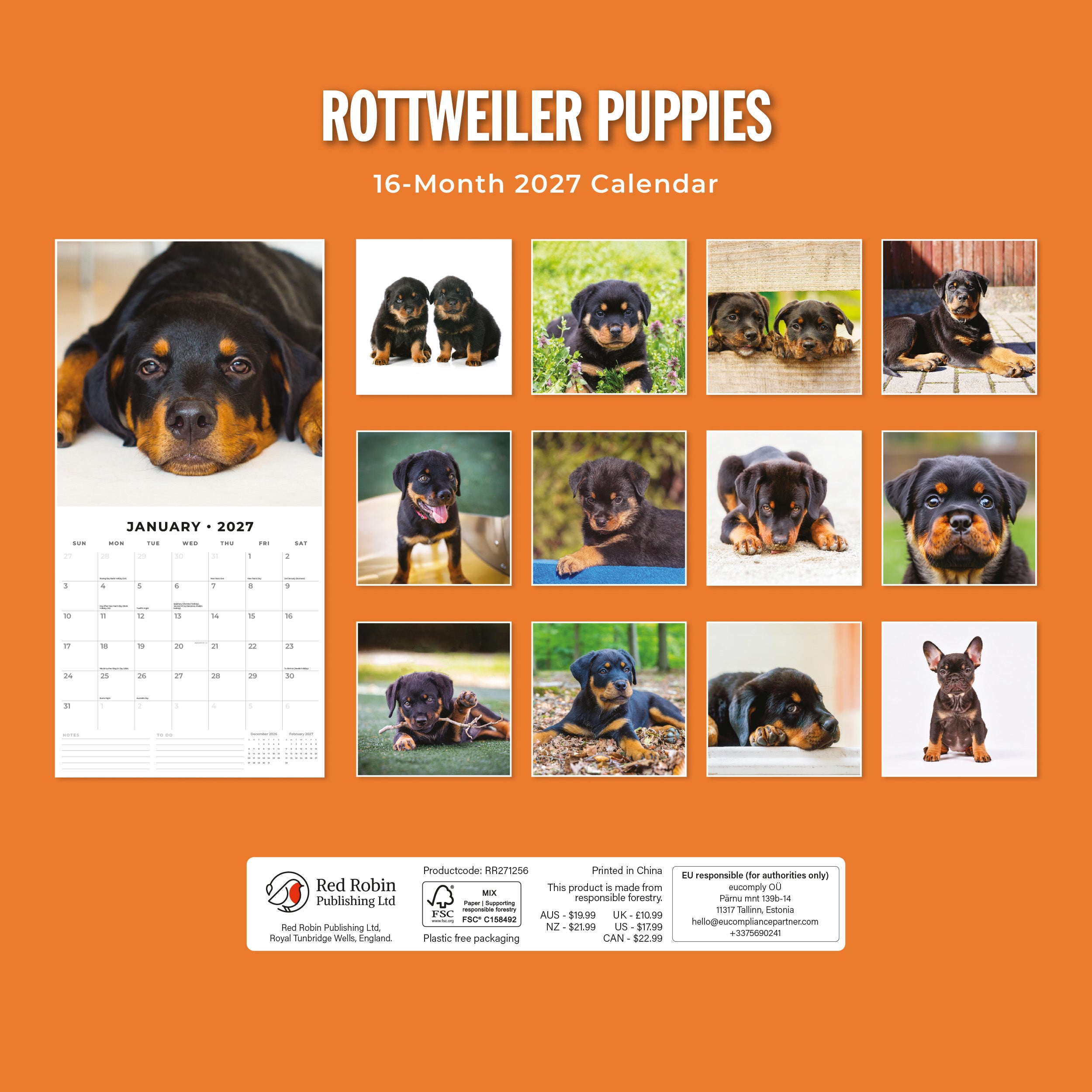 2027 Rottweiler Puppies - Square Wall Calendar