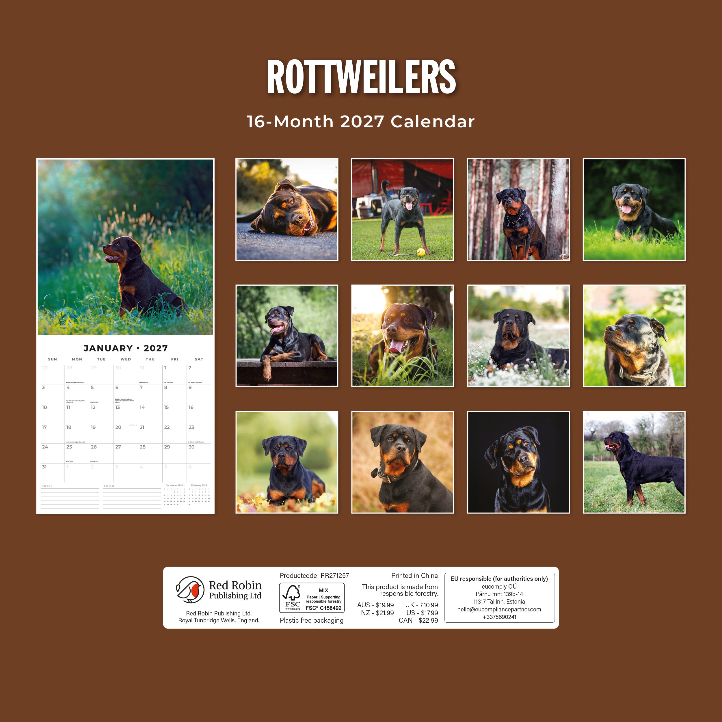 2027 Rottweilers - Square Wall Calendar