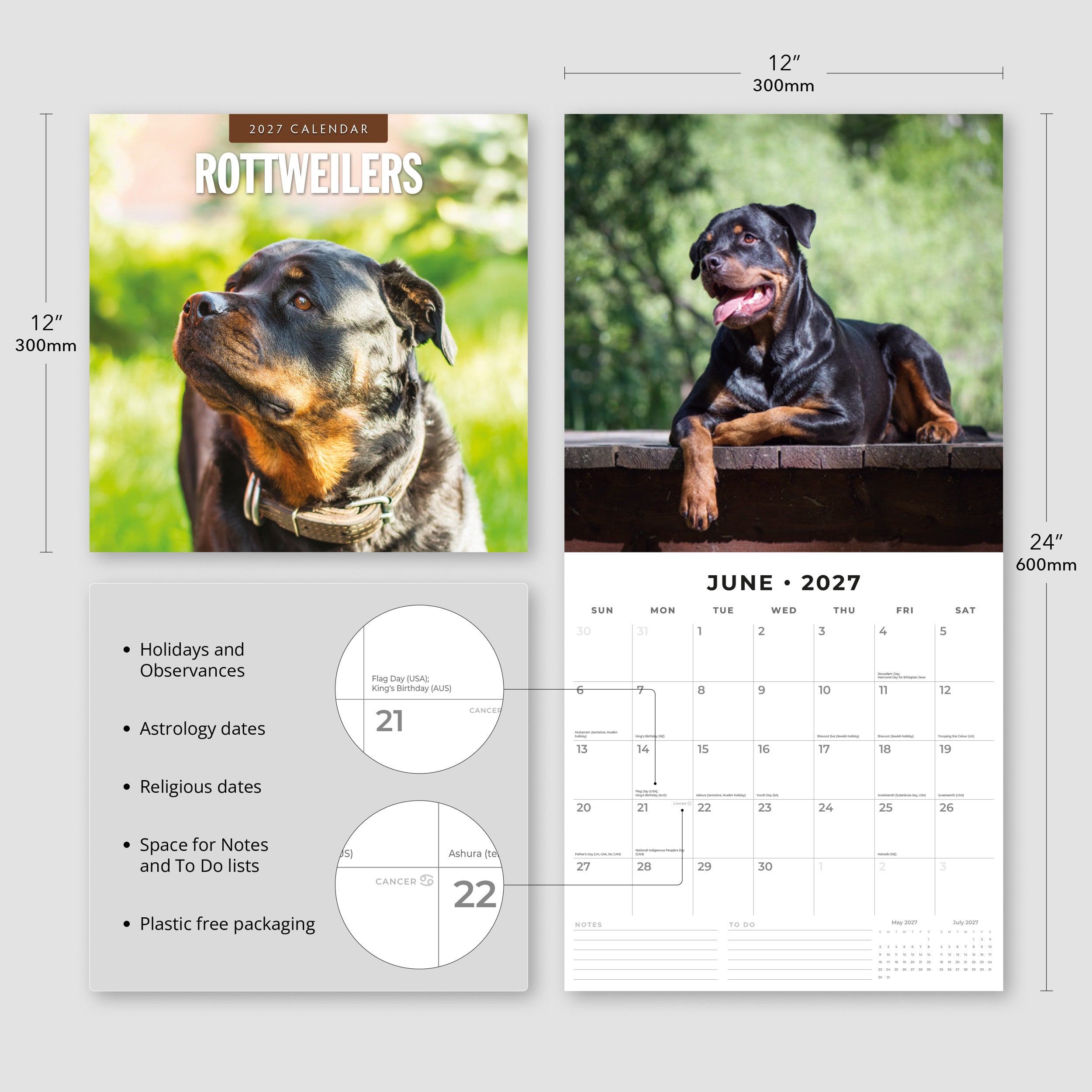 2027 Rottweilers - Square Wall Calendar