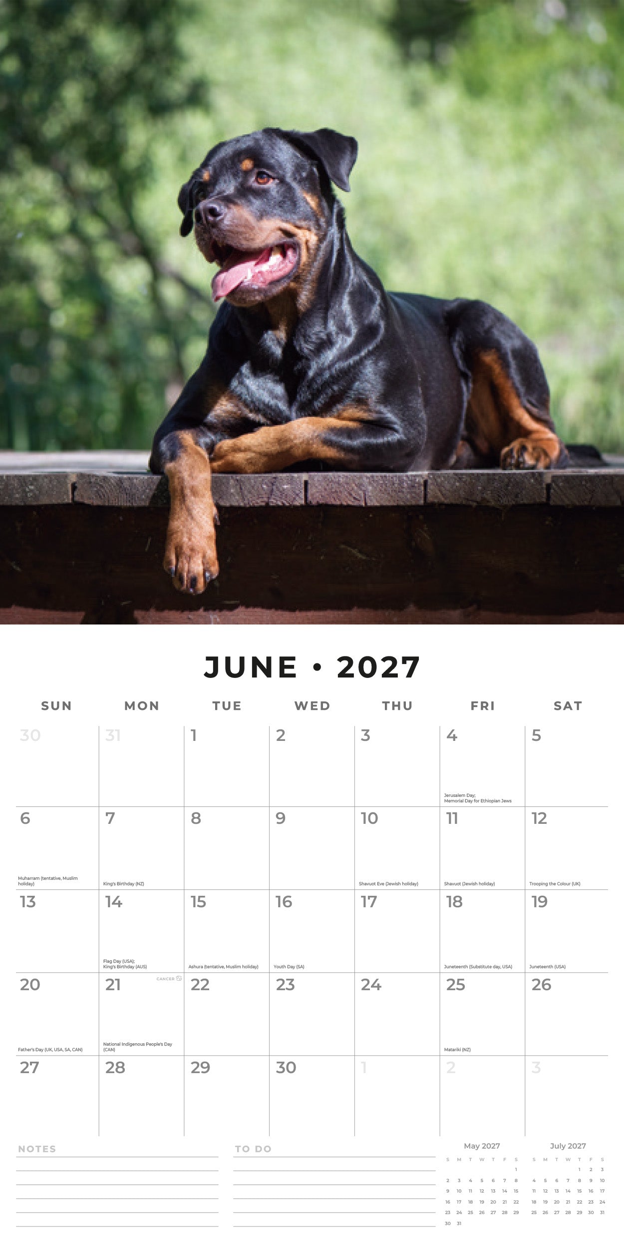 2027 Rottweilers - Square Wall Calendar