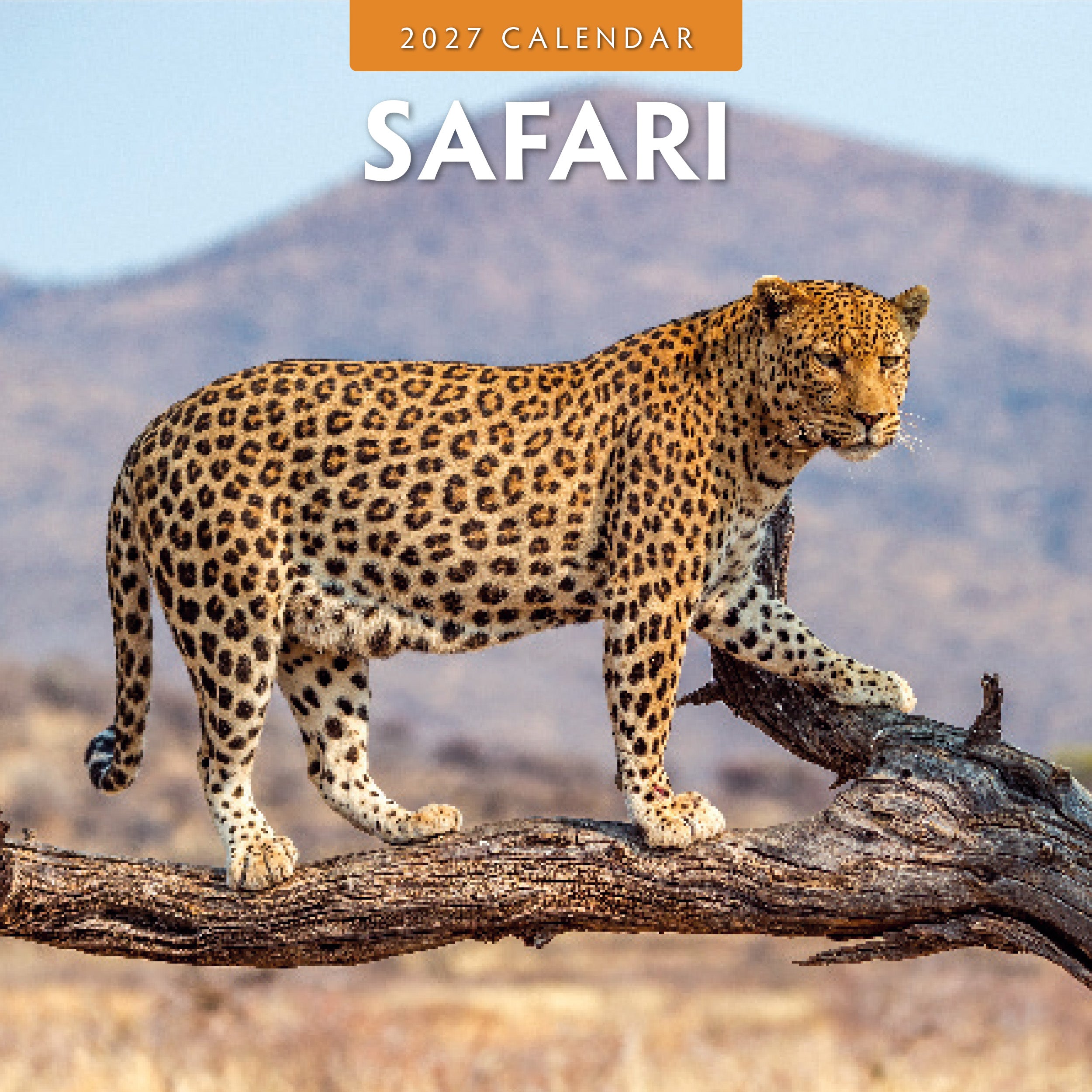 2027 Safari - Square Wall Calendar