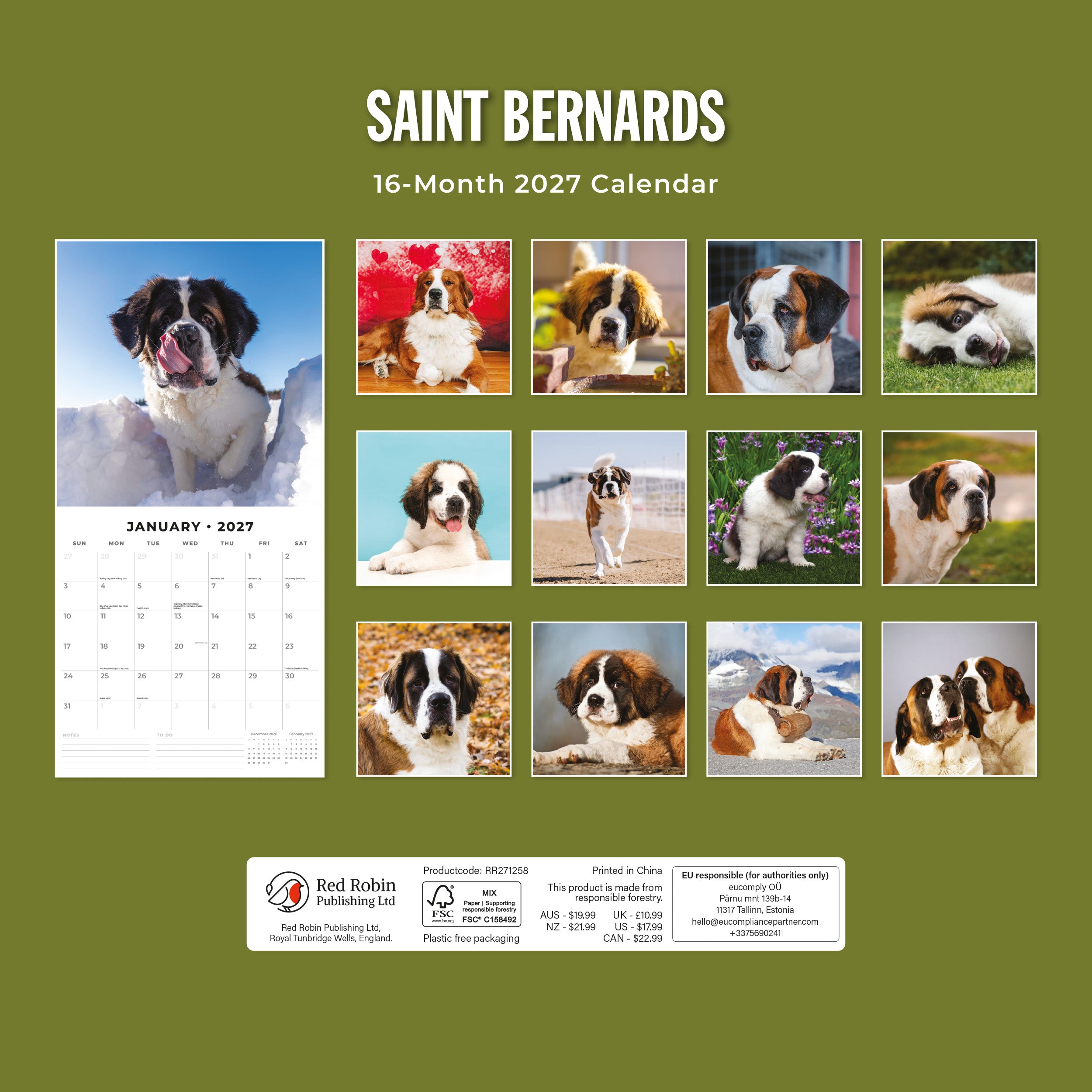 2027 Saint Bernards - Square Wall Calendar