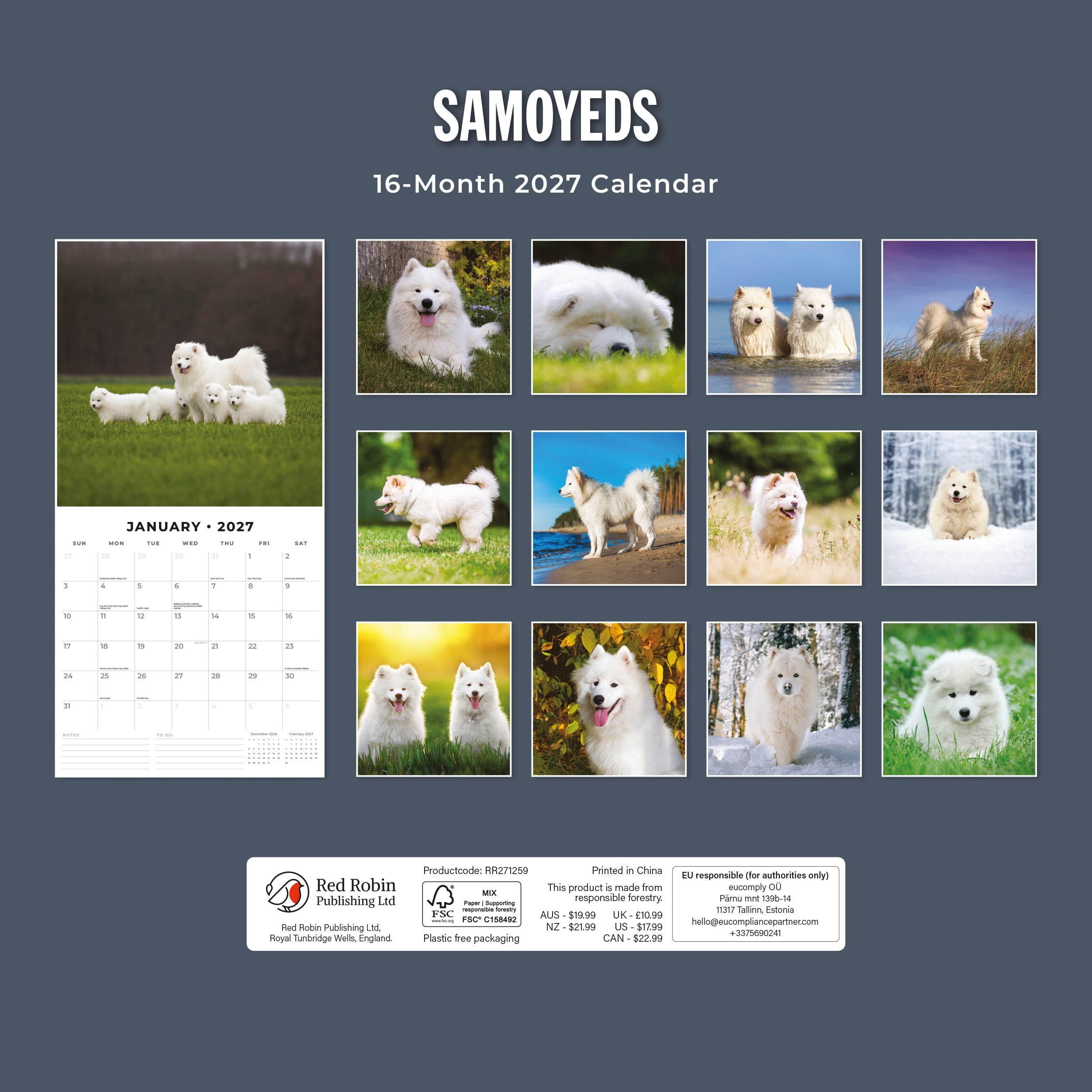 2027 Samoyeds - Square Wall Calendar