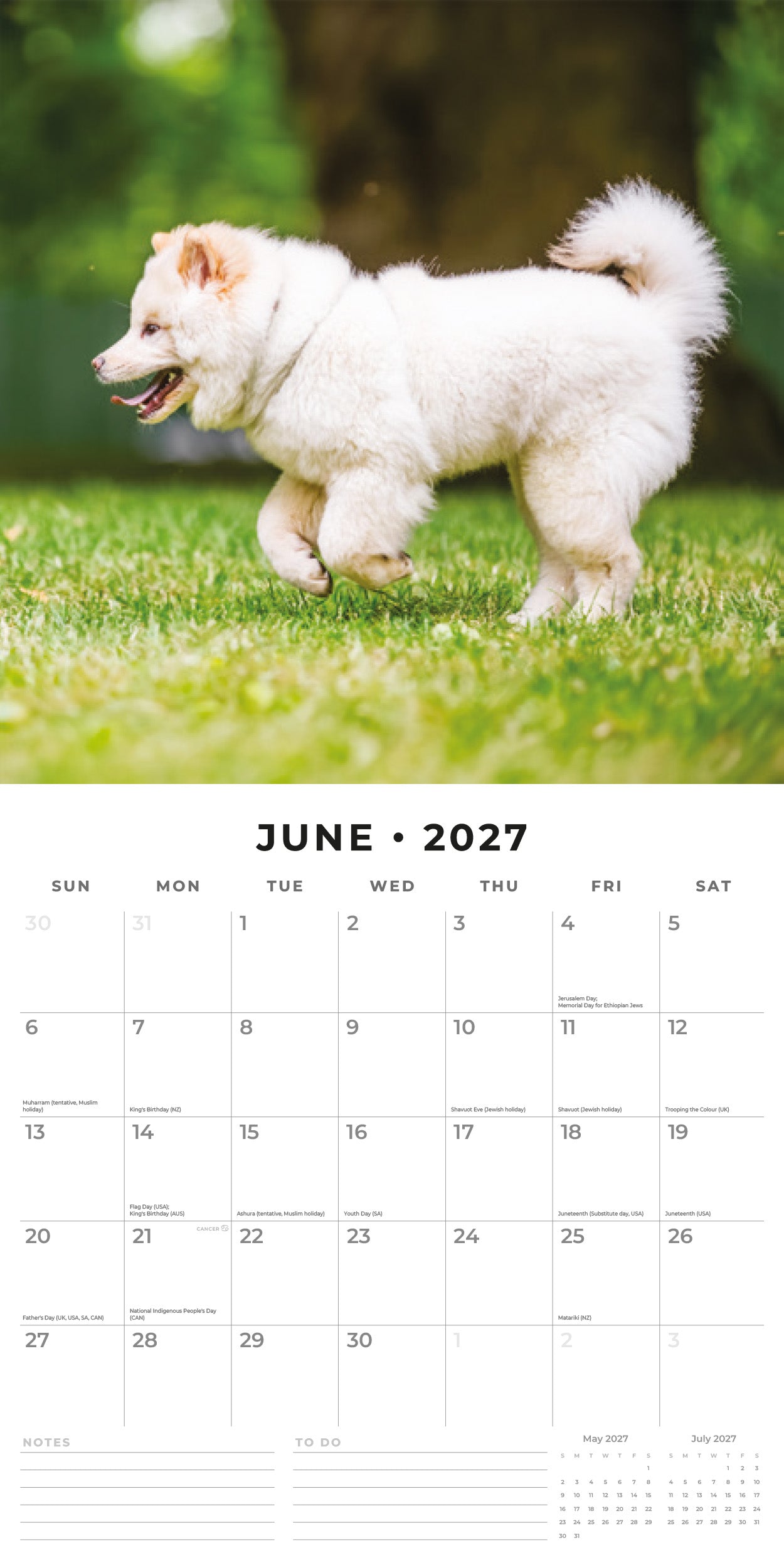 2027 Samoyeds - Square Wall Calendar