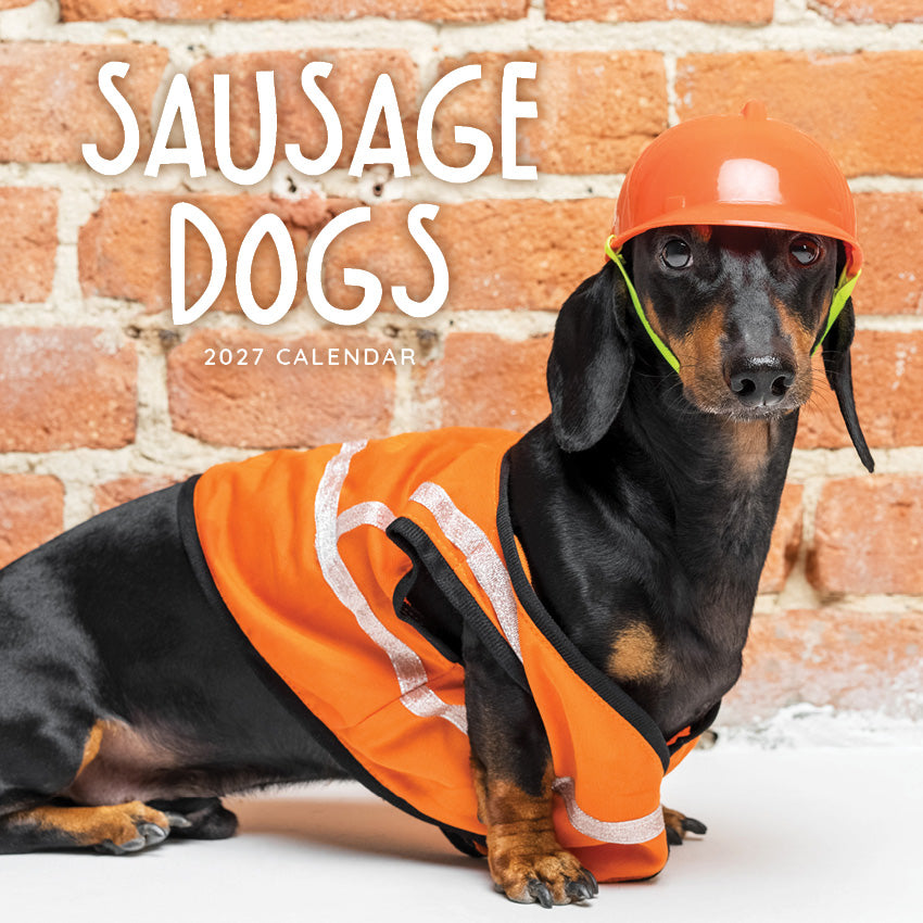2027 Sausage Dogs - Square Wall Calendar