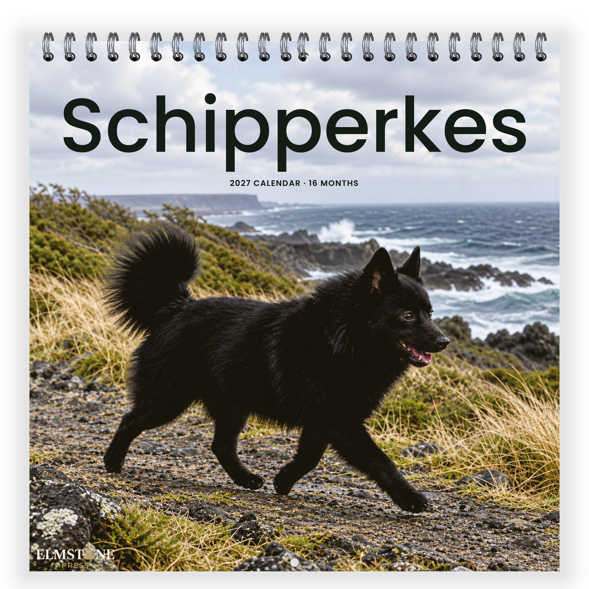 Schipperkes_-_649310203468_-_01-front-cover-white.jpg