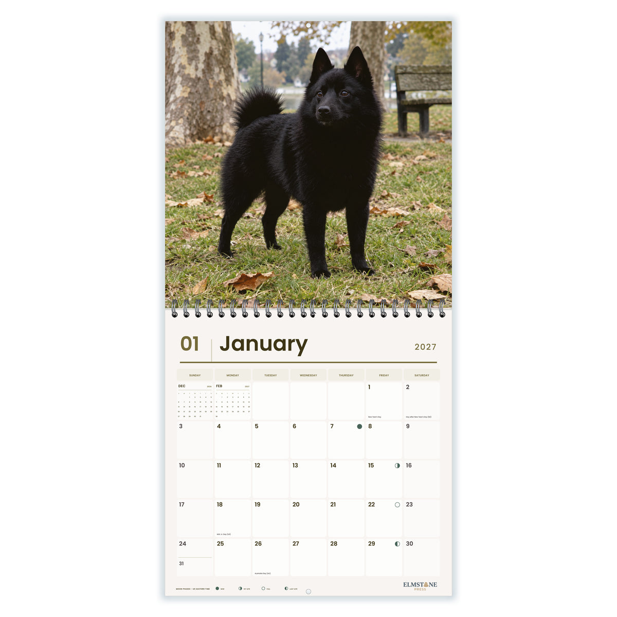 Schipperkes_-_649310203468_-_02-january-open-white.jpg