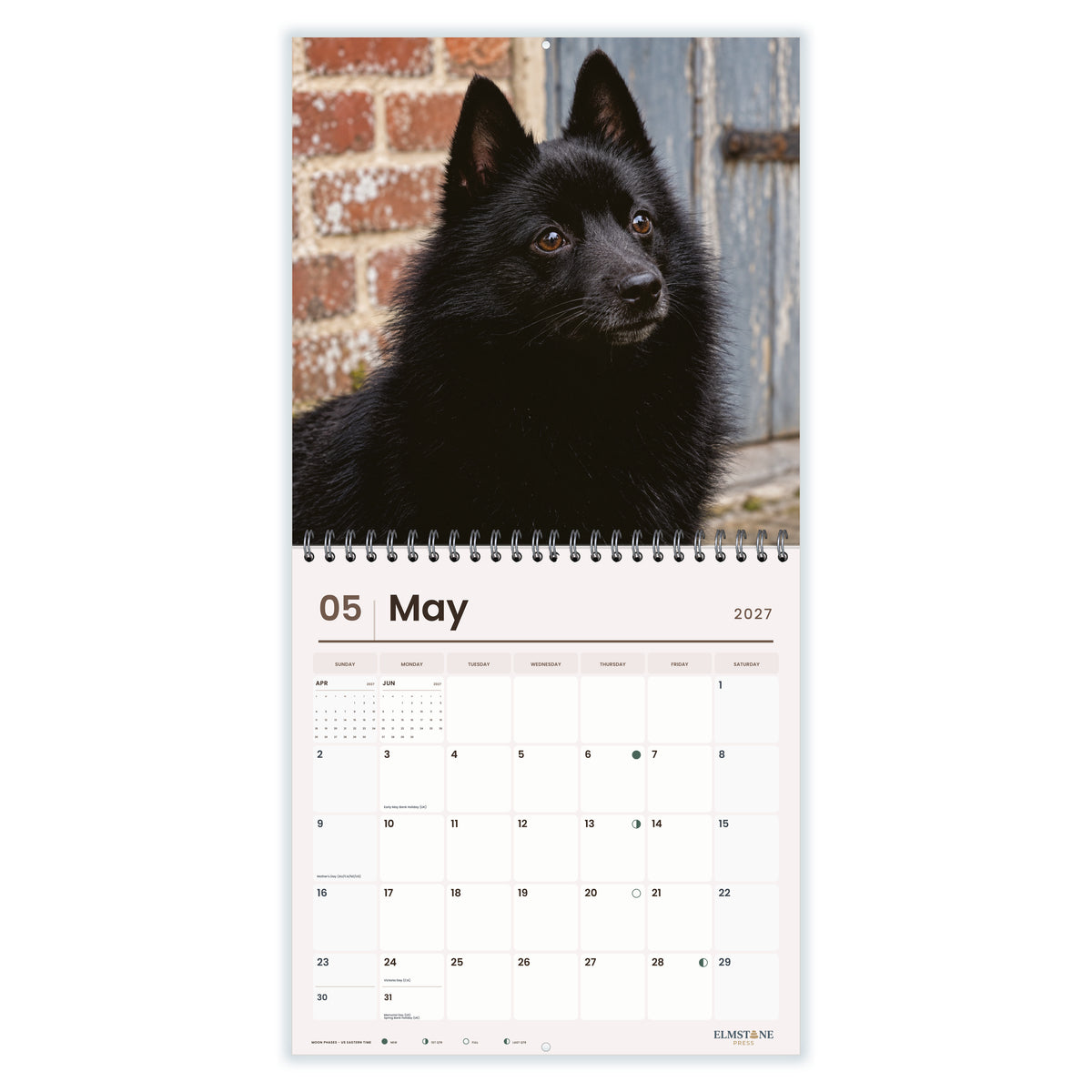 Schipperkes_-_649310203468_-_03-may-open-white.jpg