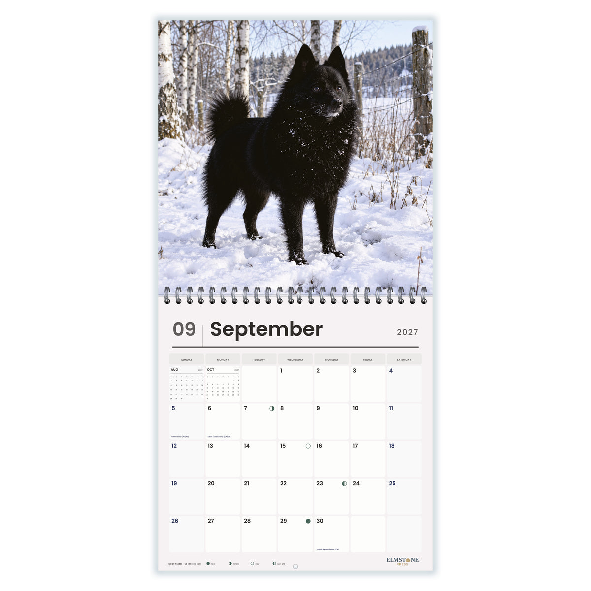 Schipperkes_-_649310203468_-_04-september-open-white.jpg