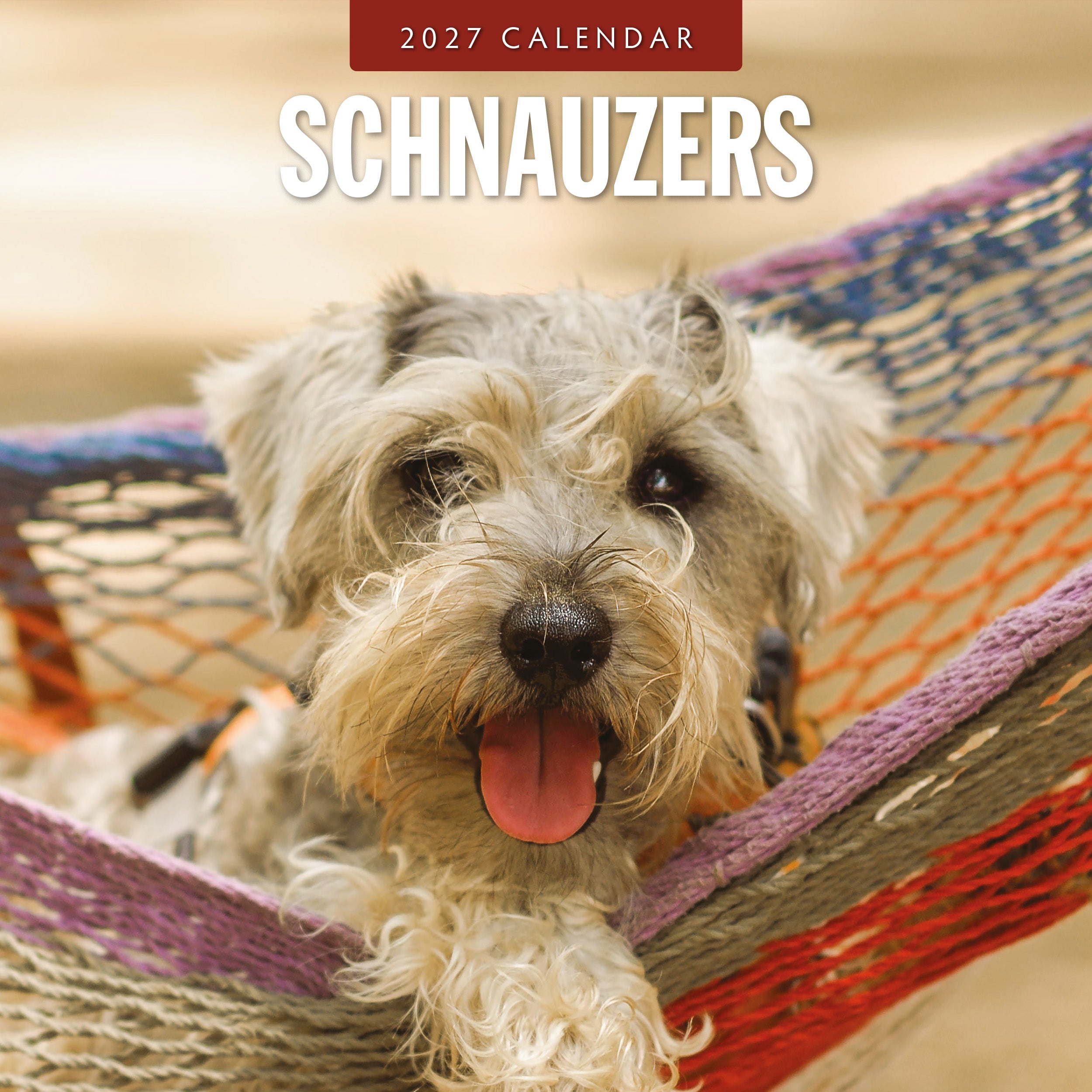 2027 Schnauzer - Square Wall Calendar