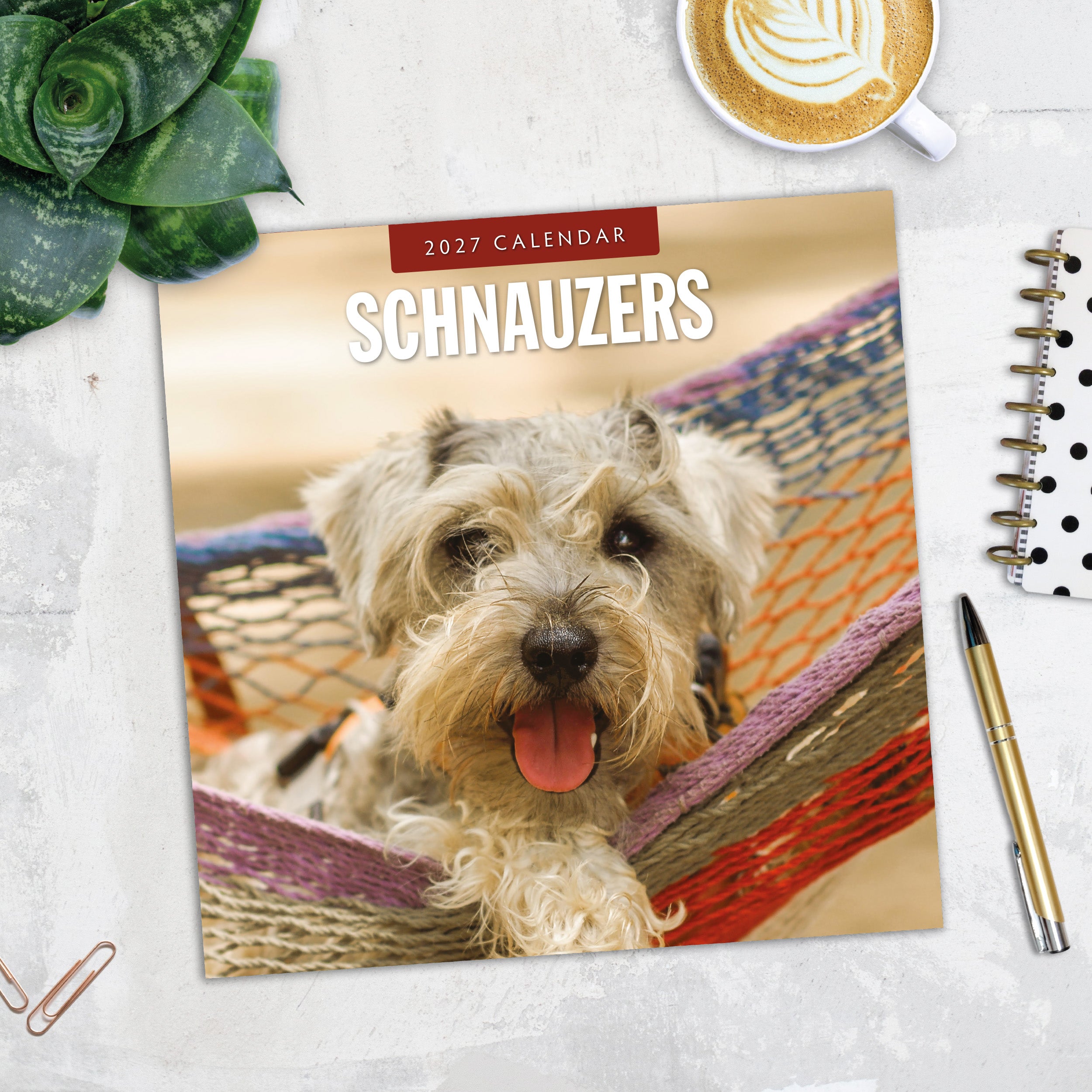 2027 Schnauzer - Square Wall Calendar