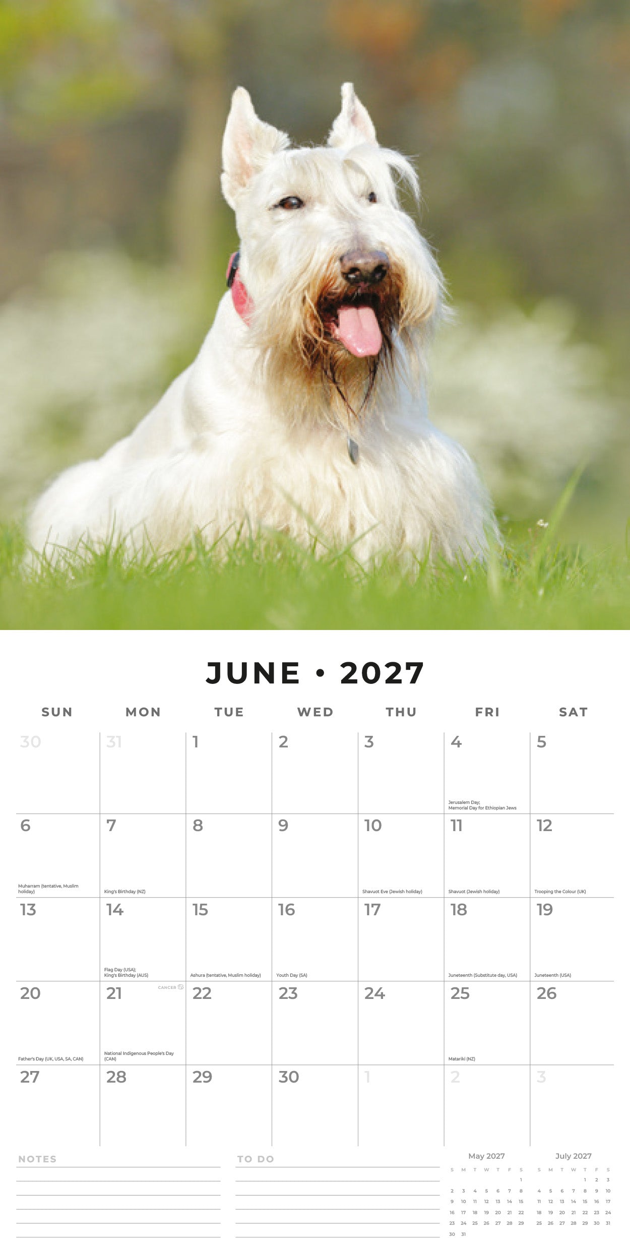 2027 Scottish Terriers - Square Wall Calendar