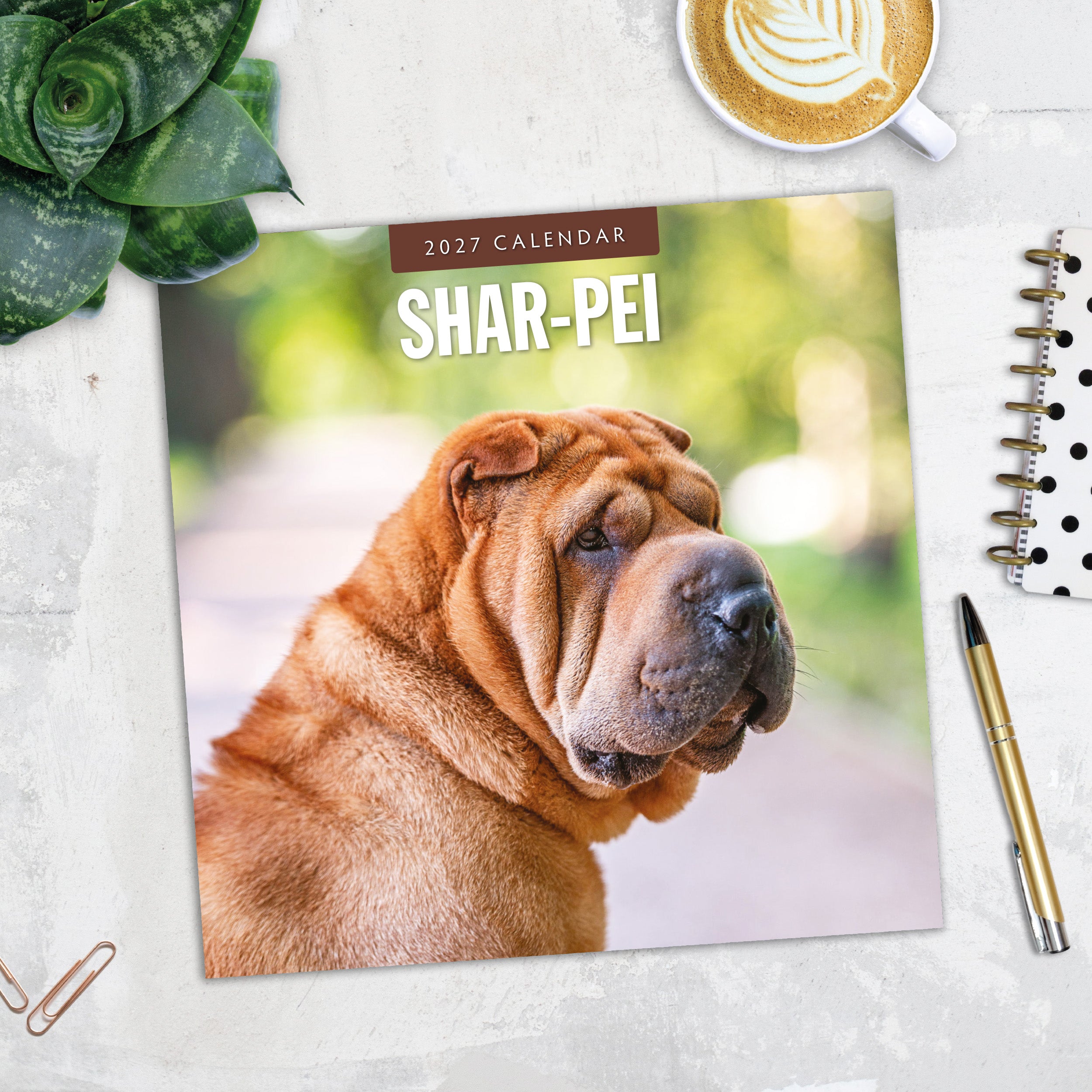 2027 Shar-Pei - Square Wall Calendar