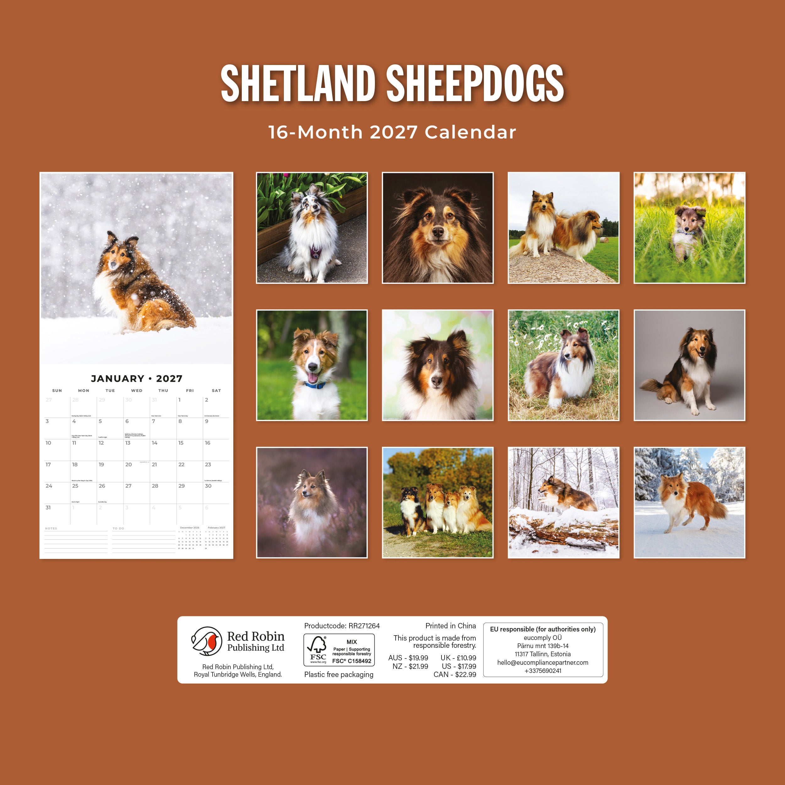 2027 Shetland Sheepdogs - Square Wall Calendar
