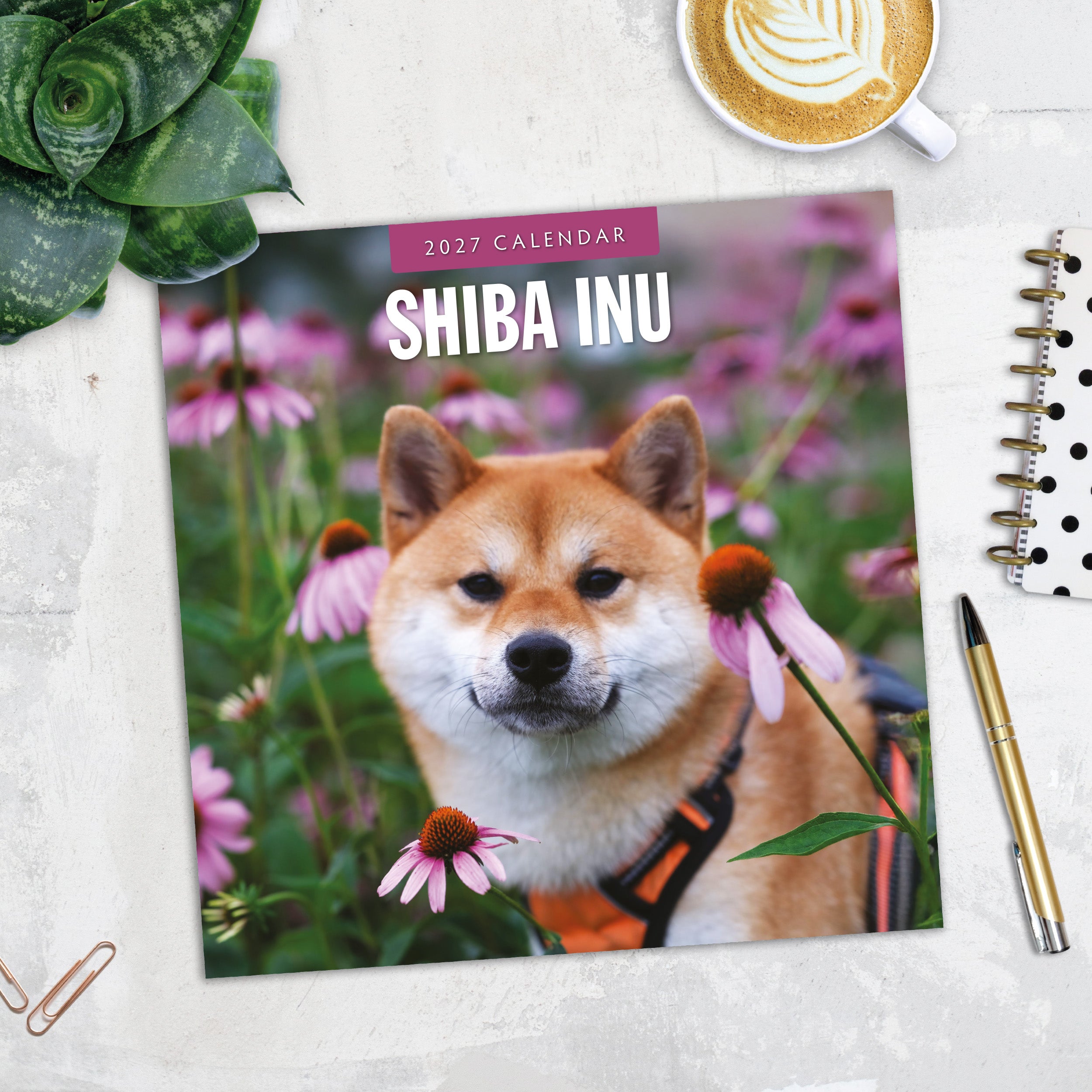 2027 Shiba Inu - Square Wall Calendar