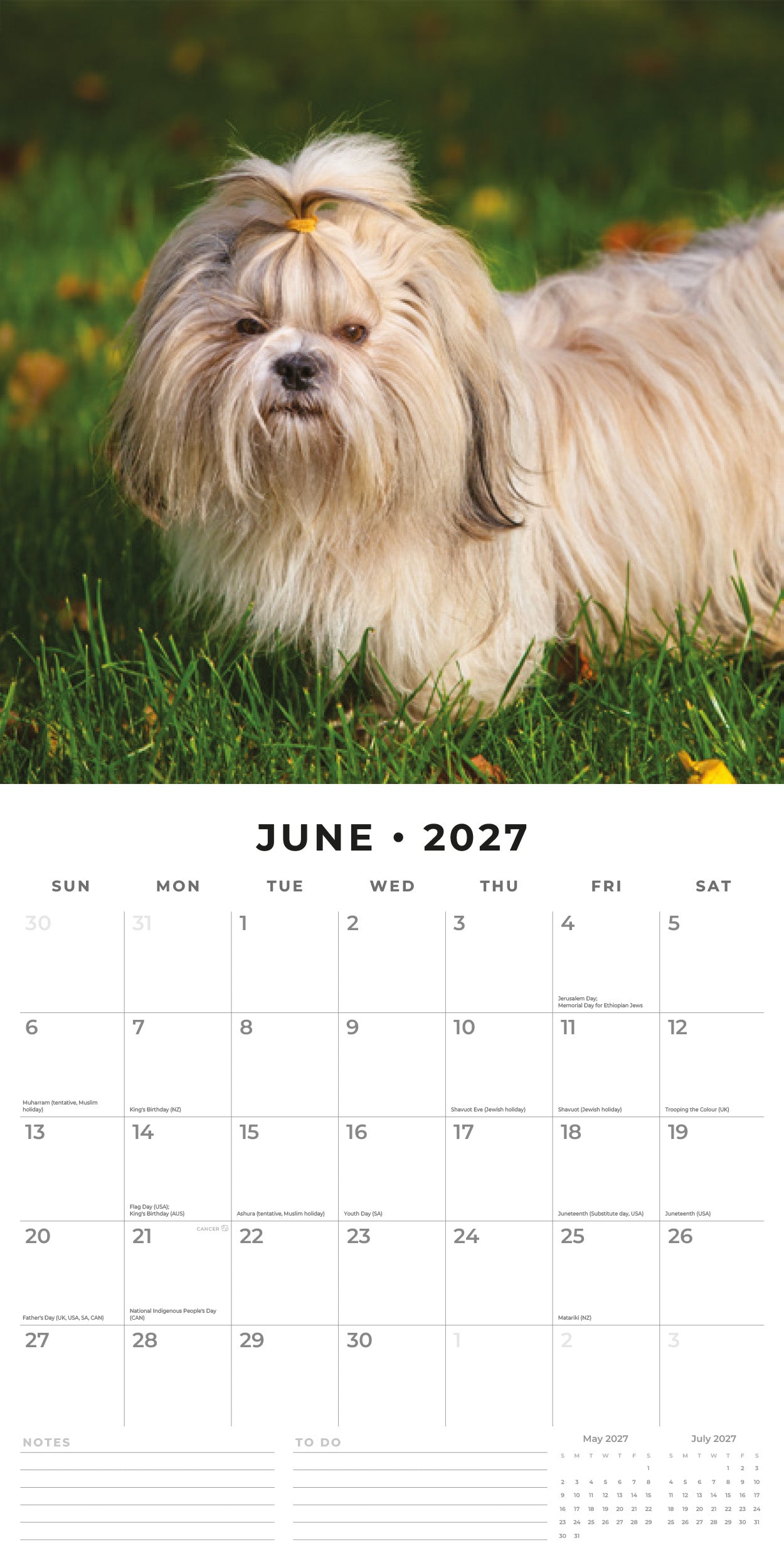 2027 Shih Tzu - Square Wall Calendar