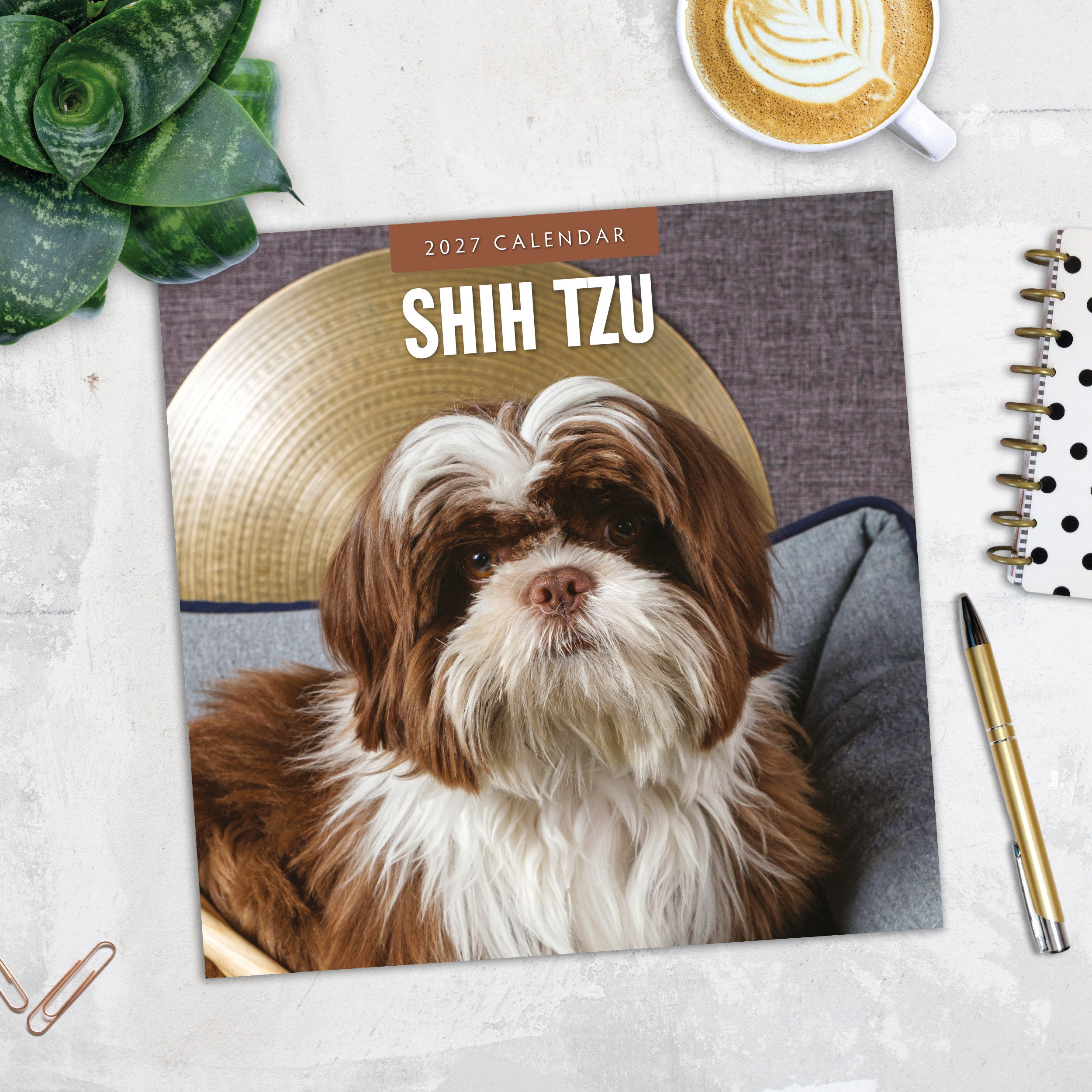 2027 Shih Tzu - Square Wall Calendar