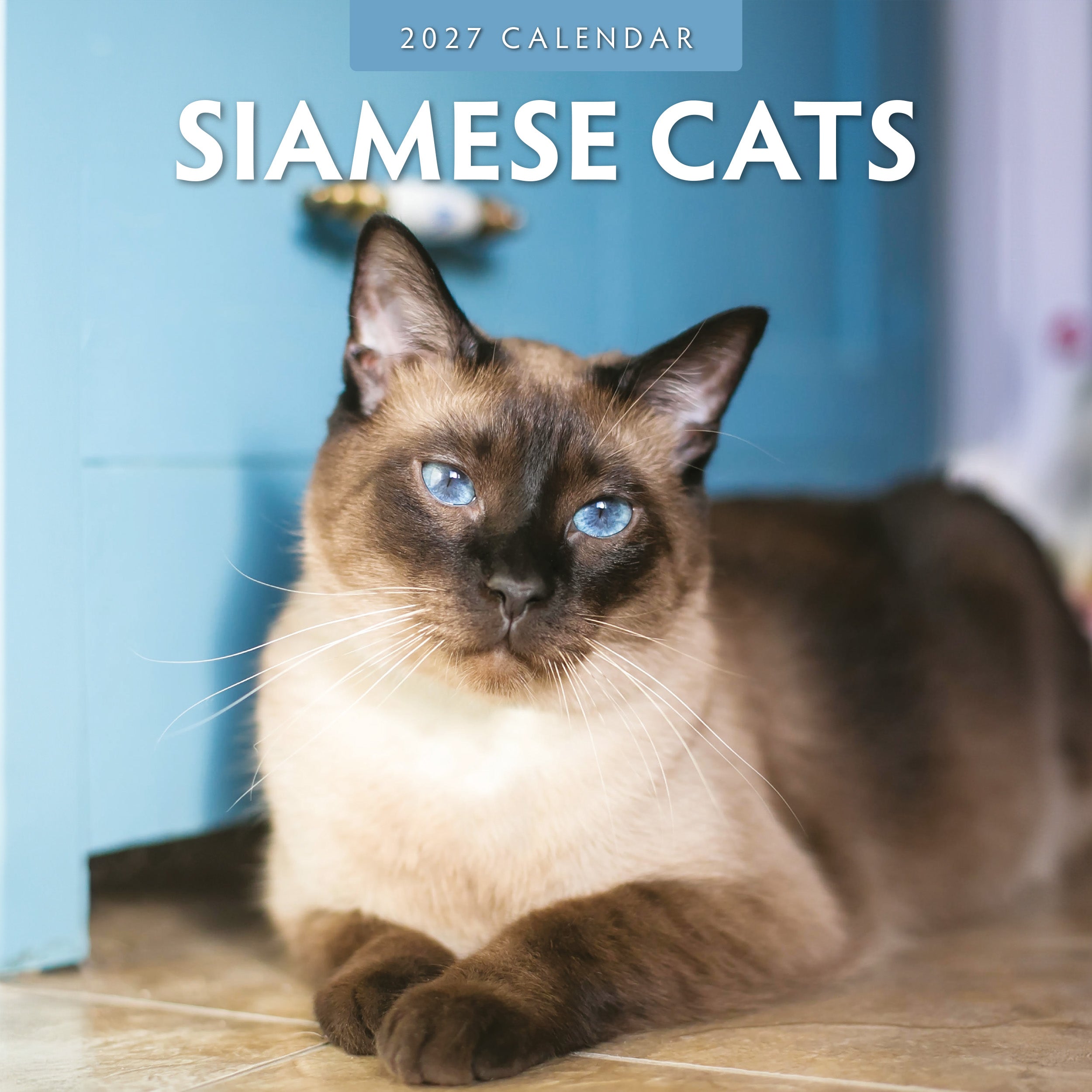 2027 Siamese Cats - Square Wall Calendar