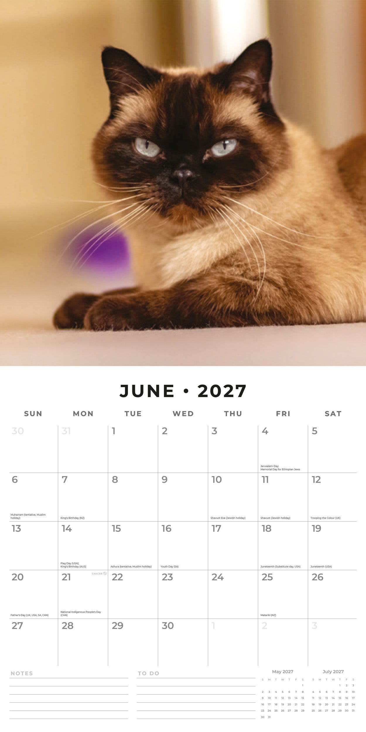2027 Siamese Cats - Square Wall Calendar