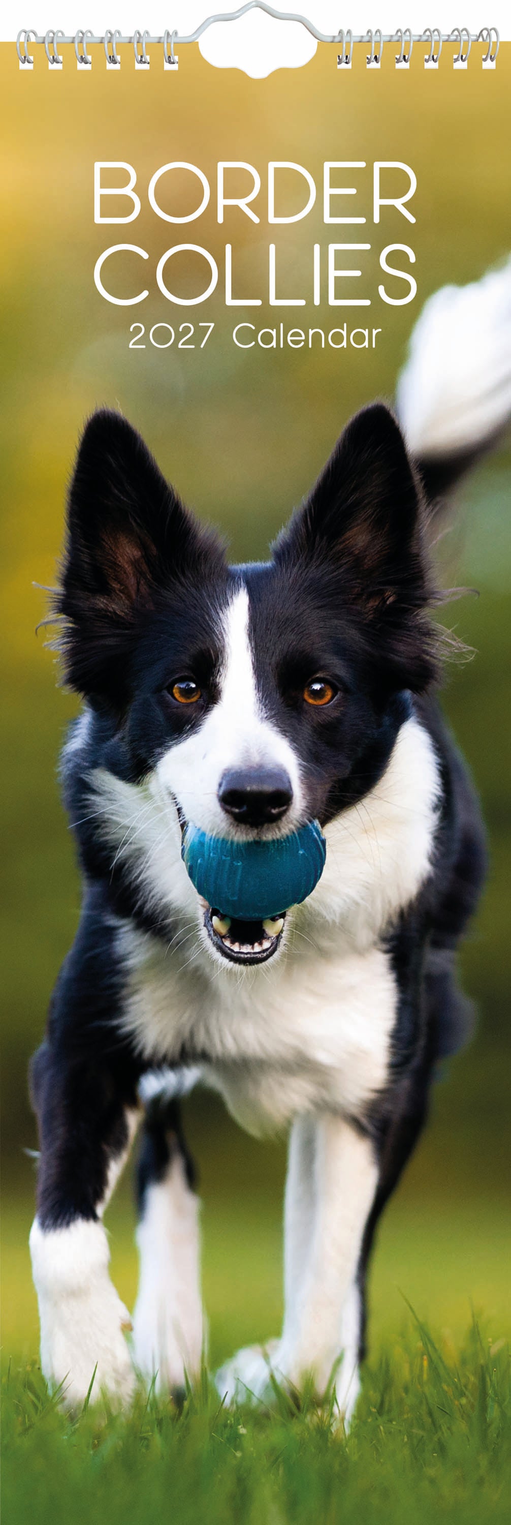 Slimline_Animals_Dogs_Border_Collies_2027_Cover.jpg