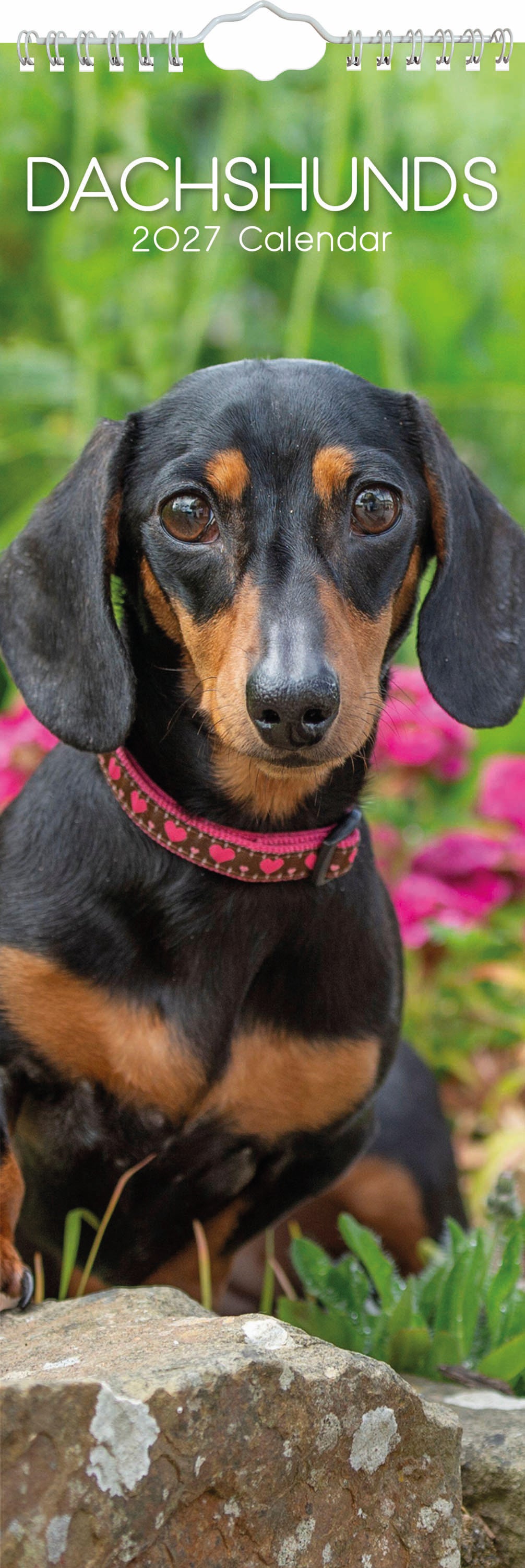 Slimline_Animals_Dogs_Dachshunds_2027_Cover.jpg