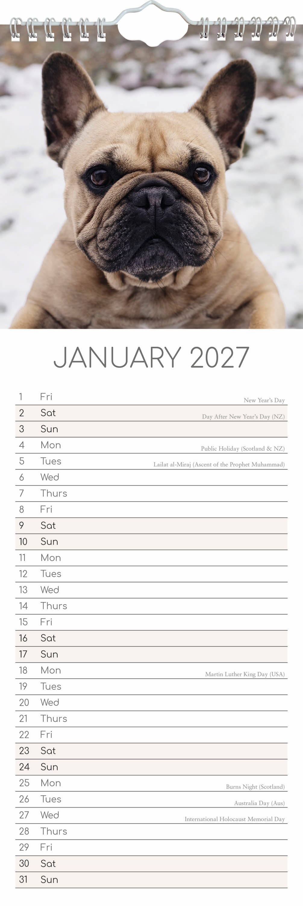 Slimline_Animals_Dogs_French_Bulldogs_2027_Jan.jpg