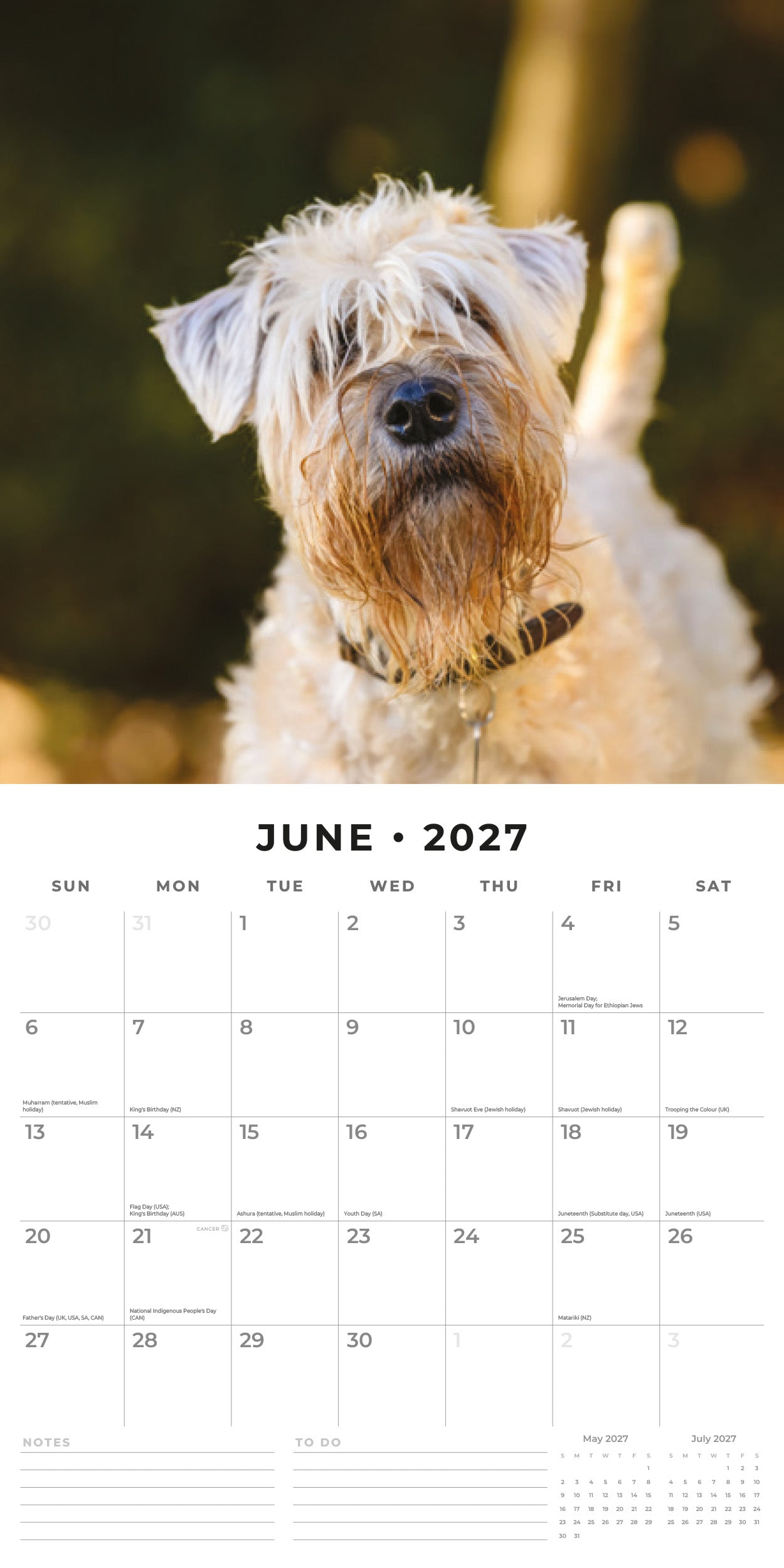 2027 Soft-coated Wheaten Terriers - Square Wall Calendar