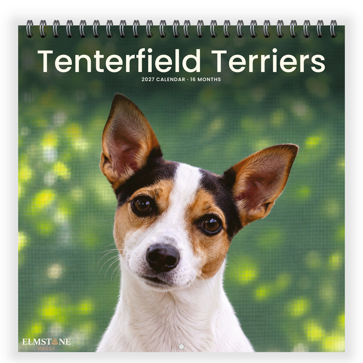 Tenterfield_Terriers_-_649310202911_-_01-front-cover-white.jpg