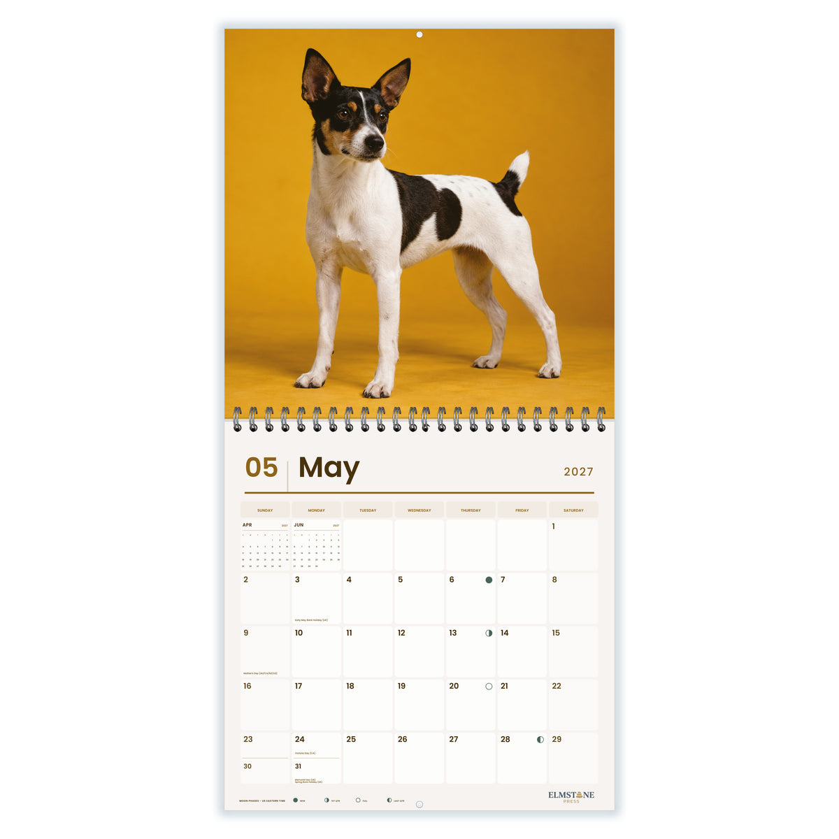 Tenterfield_Terriers_-_649310202911_-_03-may-open-white.jpg