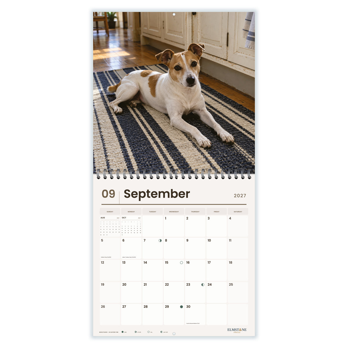 Tenterfield_Terriers_-_649310202911_-_04-september-open-white.jpg